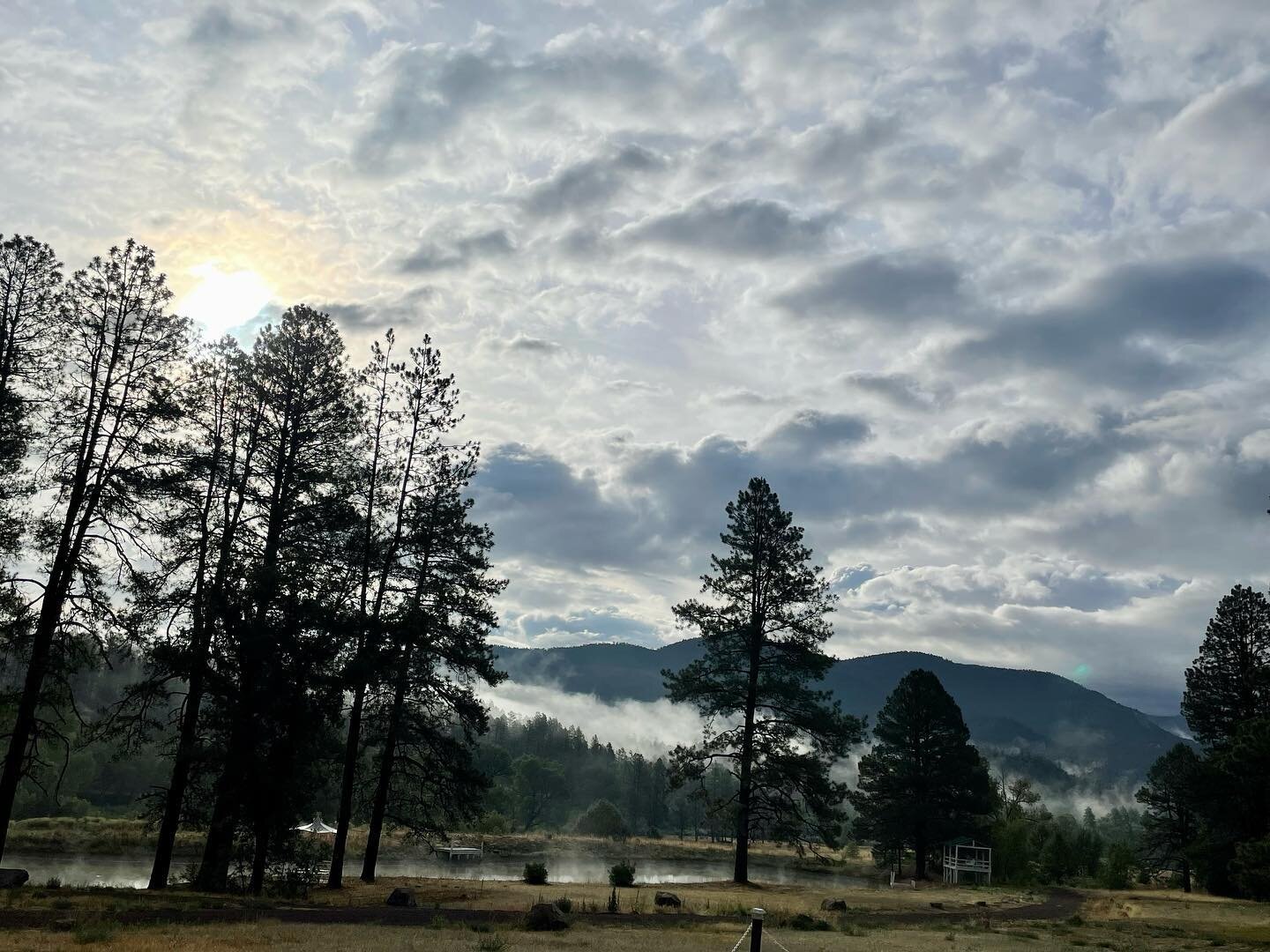 Beauty is everywhere on #blueriverranch #serenitynow #haydenoutdoors #azwhitemountains #youcouldlivehere