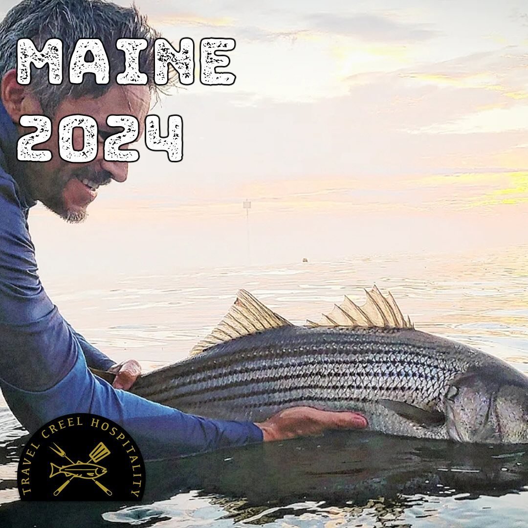 MAINE!!!

We have only 2 spots left in our first week for 2024.
July 12-17th
Sight fishing for striped bass, fresh lobstah and great company&hellip; LETS GO!!

Send us a message or email us at
Info@travelcreel.com
For more info, or to get your spot l