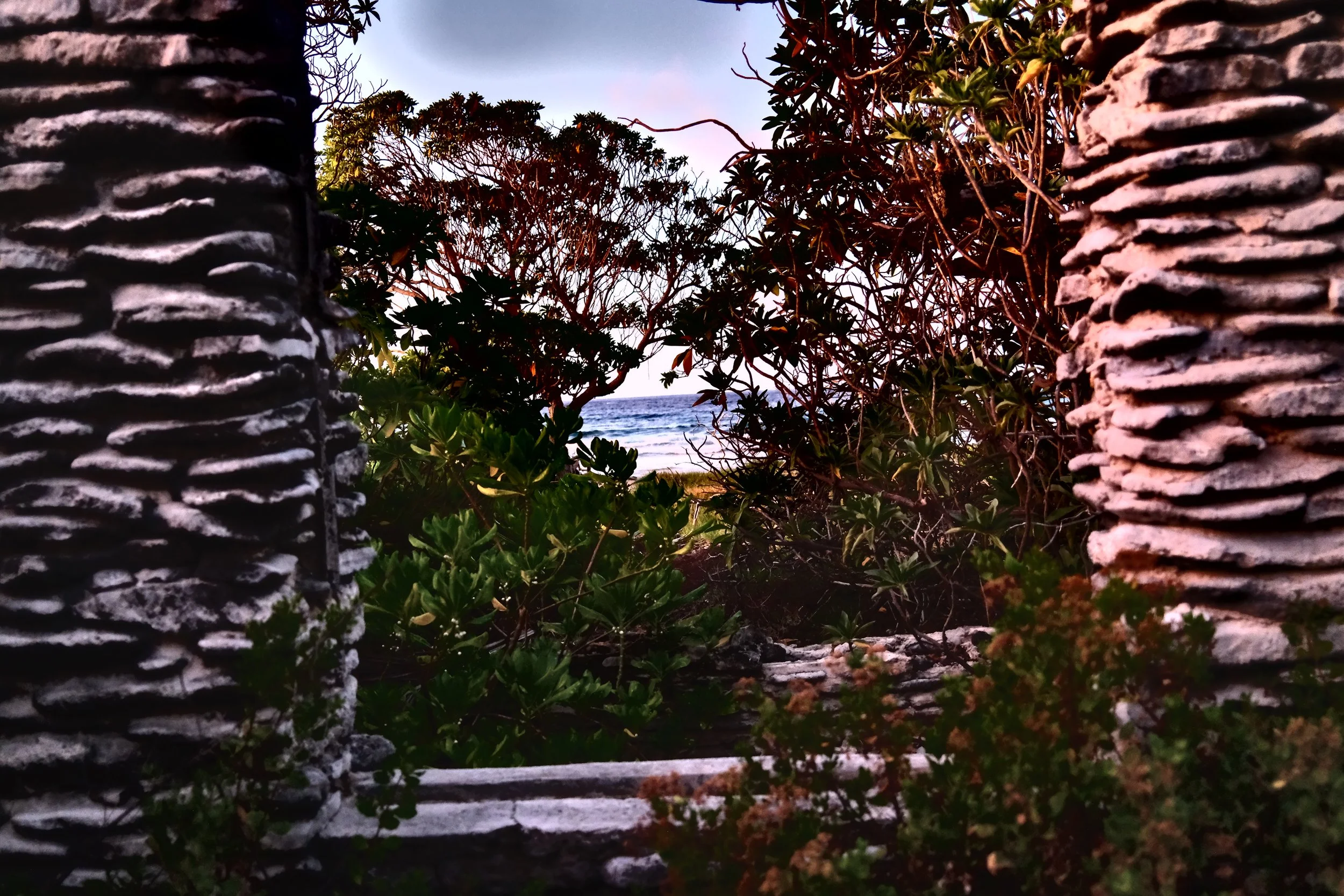 DSCF3241.jpg