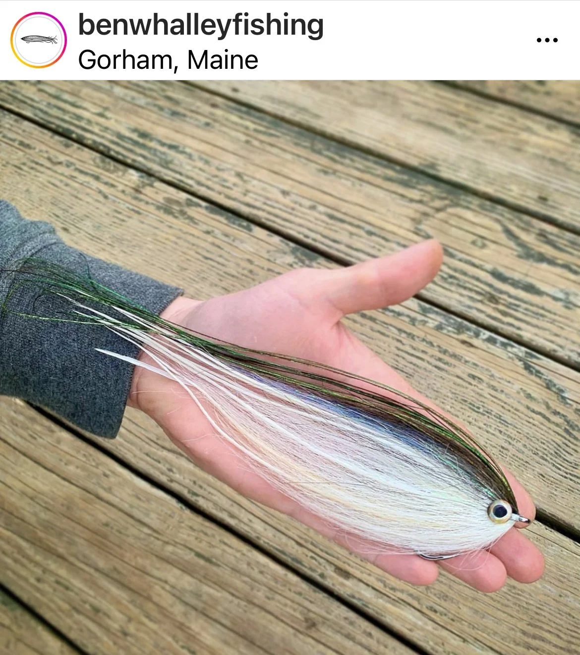 STRIPED BASS IN MAINE — Travel Creel Hospitality