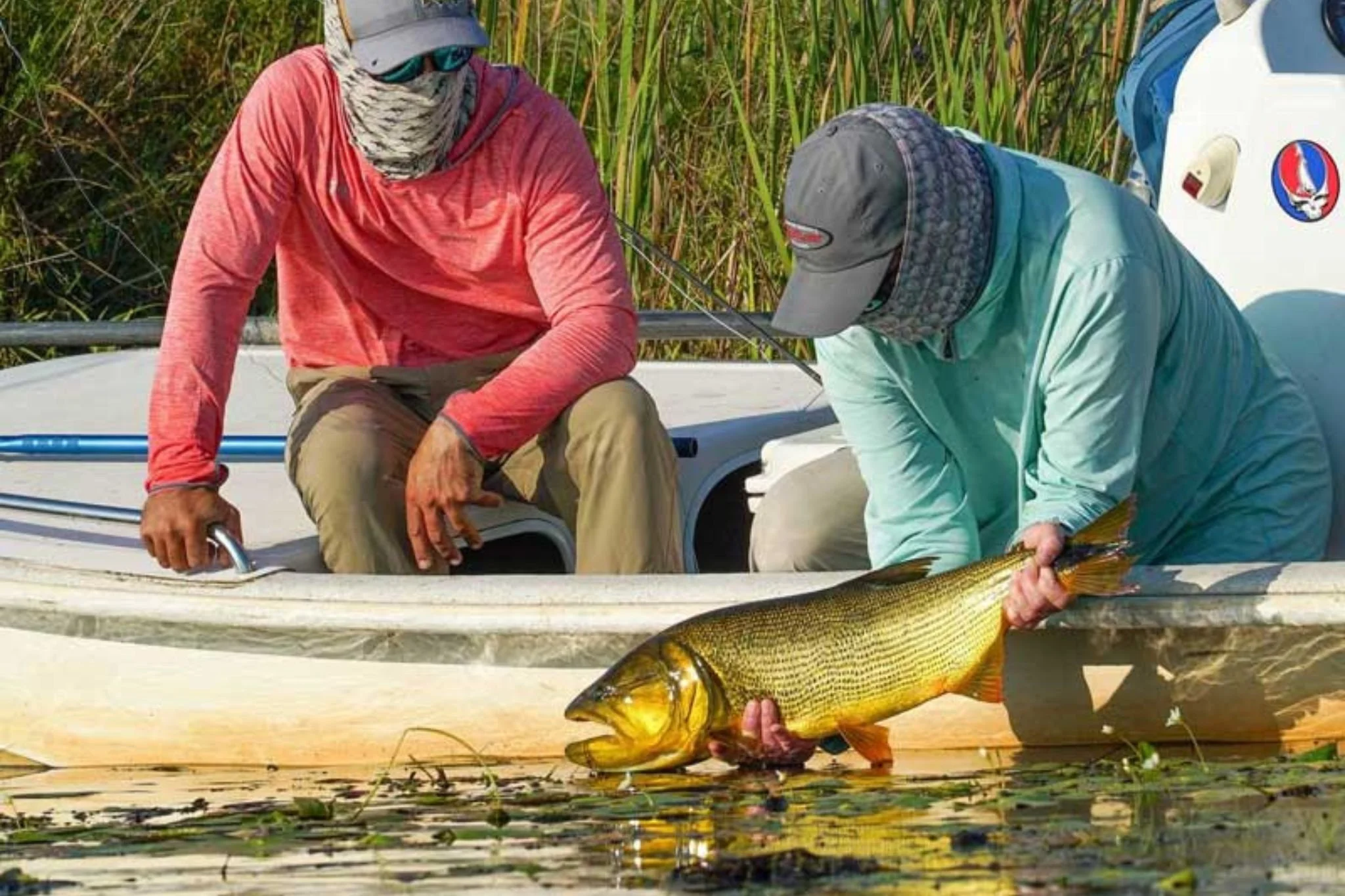 Untitled design (2).jpg