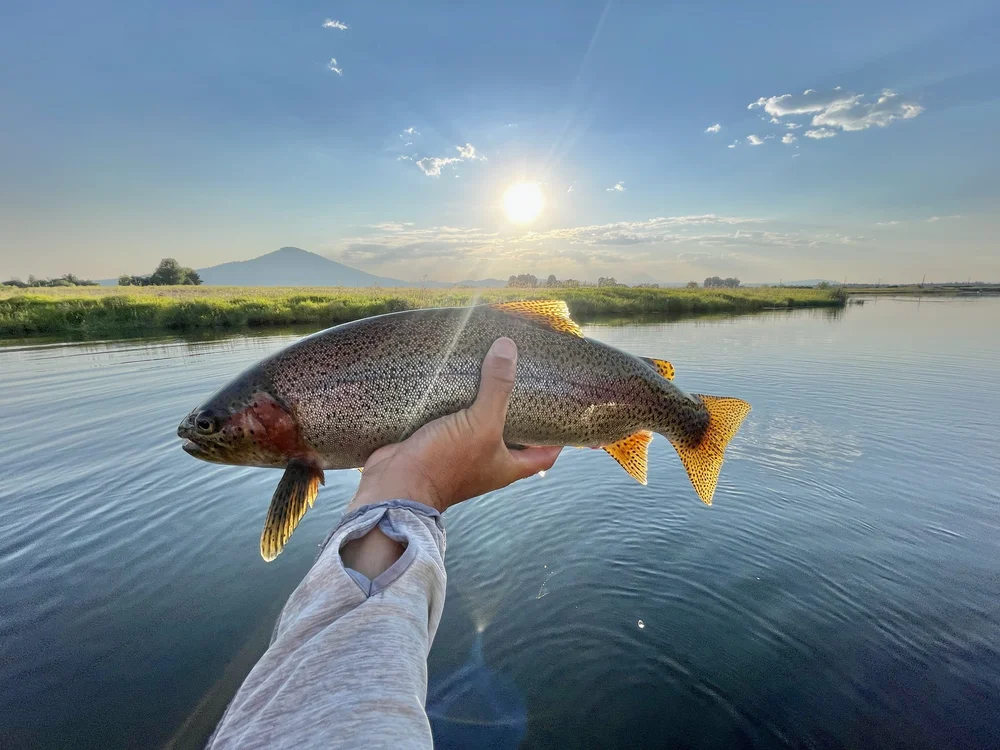 Fall River — Travel Creel Hospitality