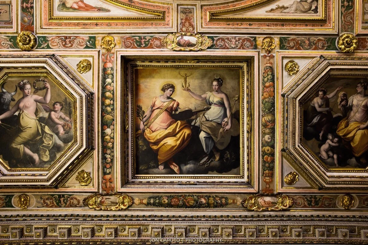 Rome+Medici+Villa+Ceiling+W+%281+of+1%29.jpg