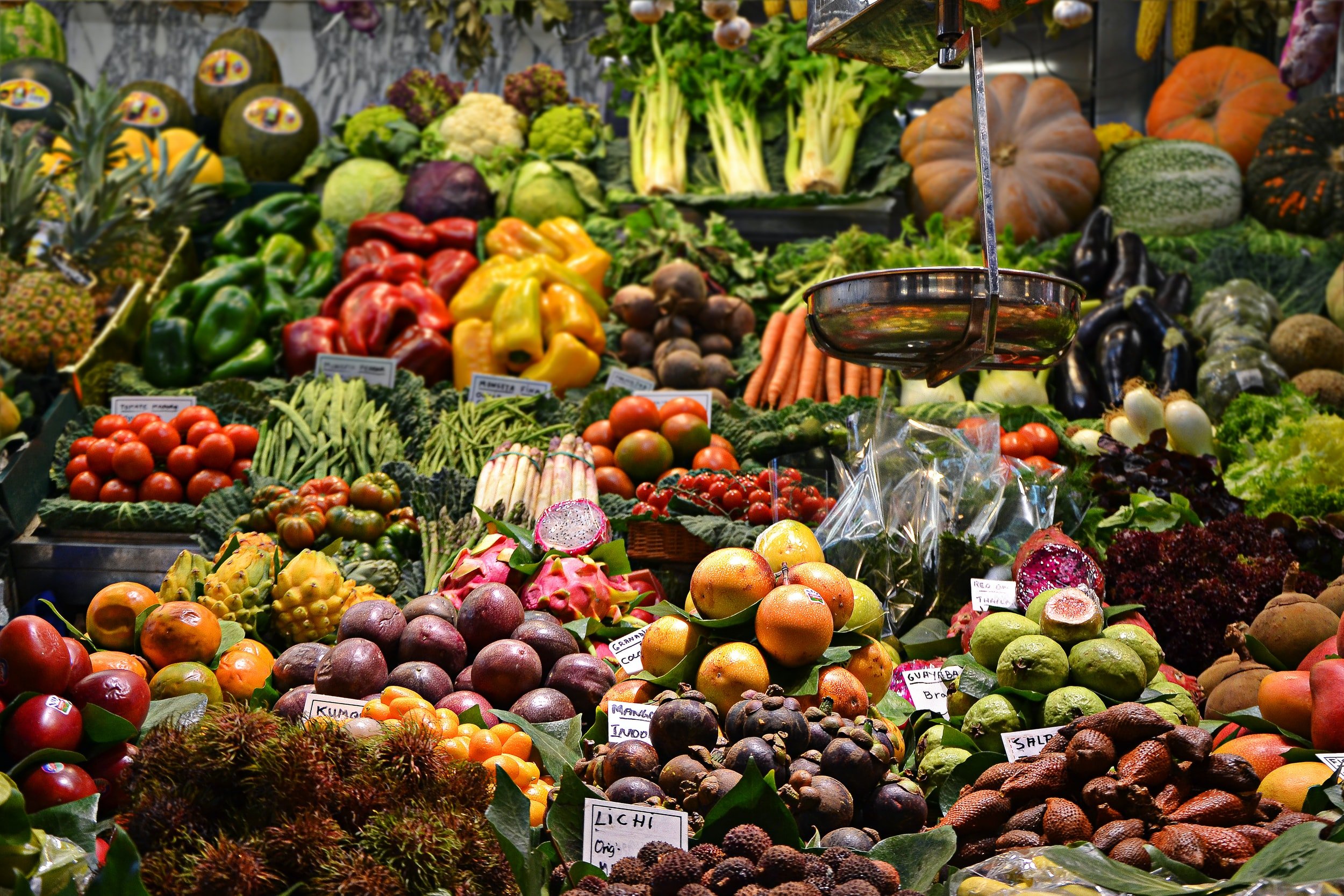 Plant Forward Eating