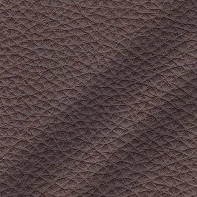 Leather Seen Above