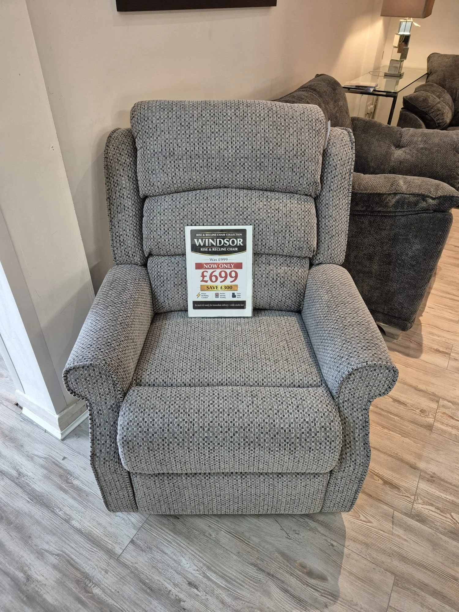 Windsor Rise and Recline Duo Motor in Steel