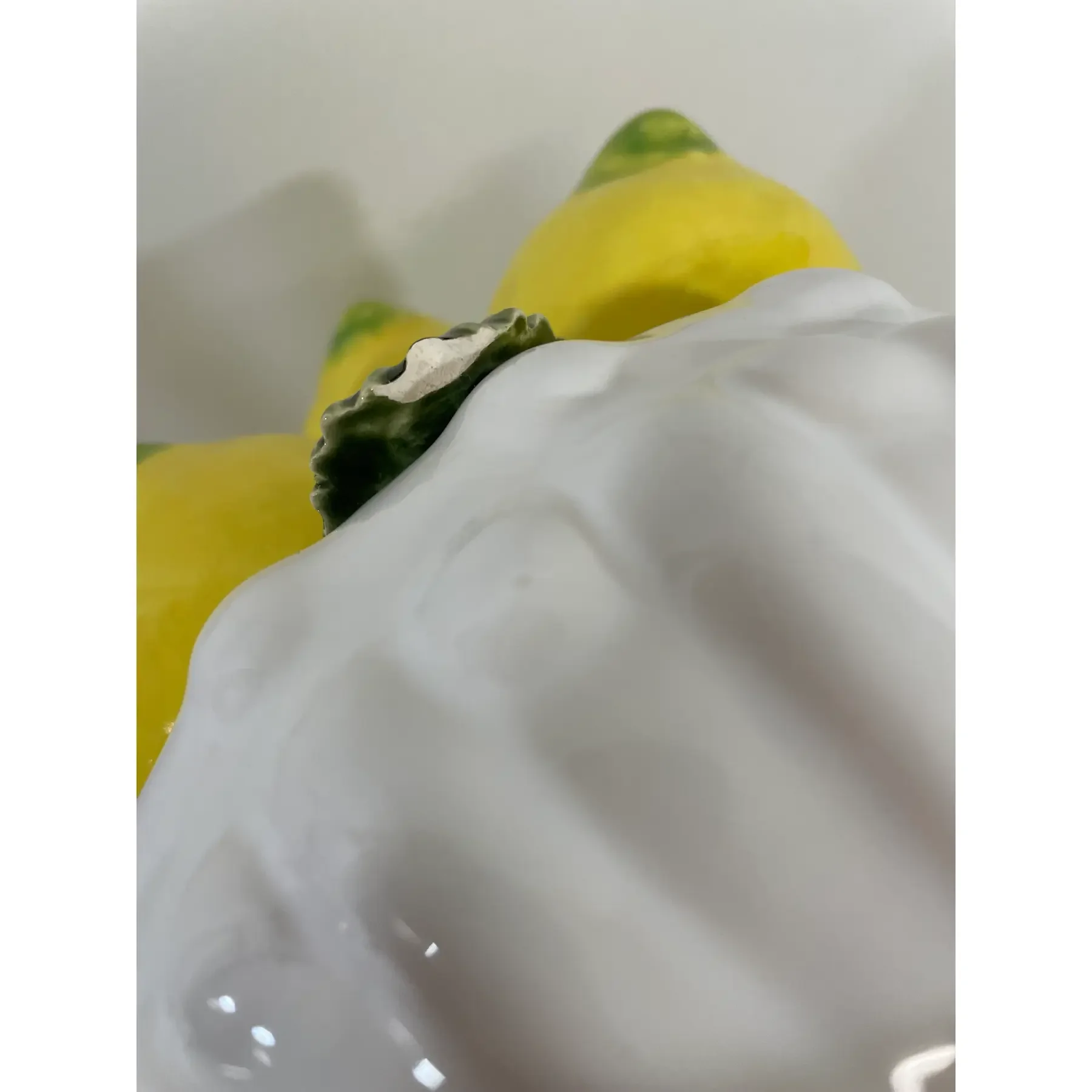 13.webp
