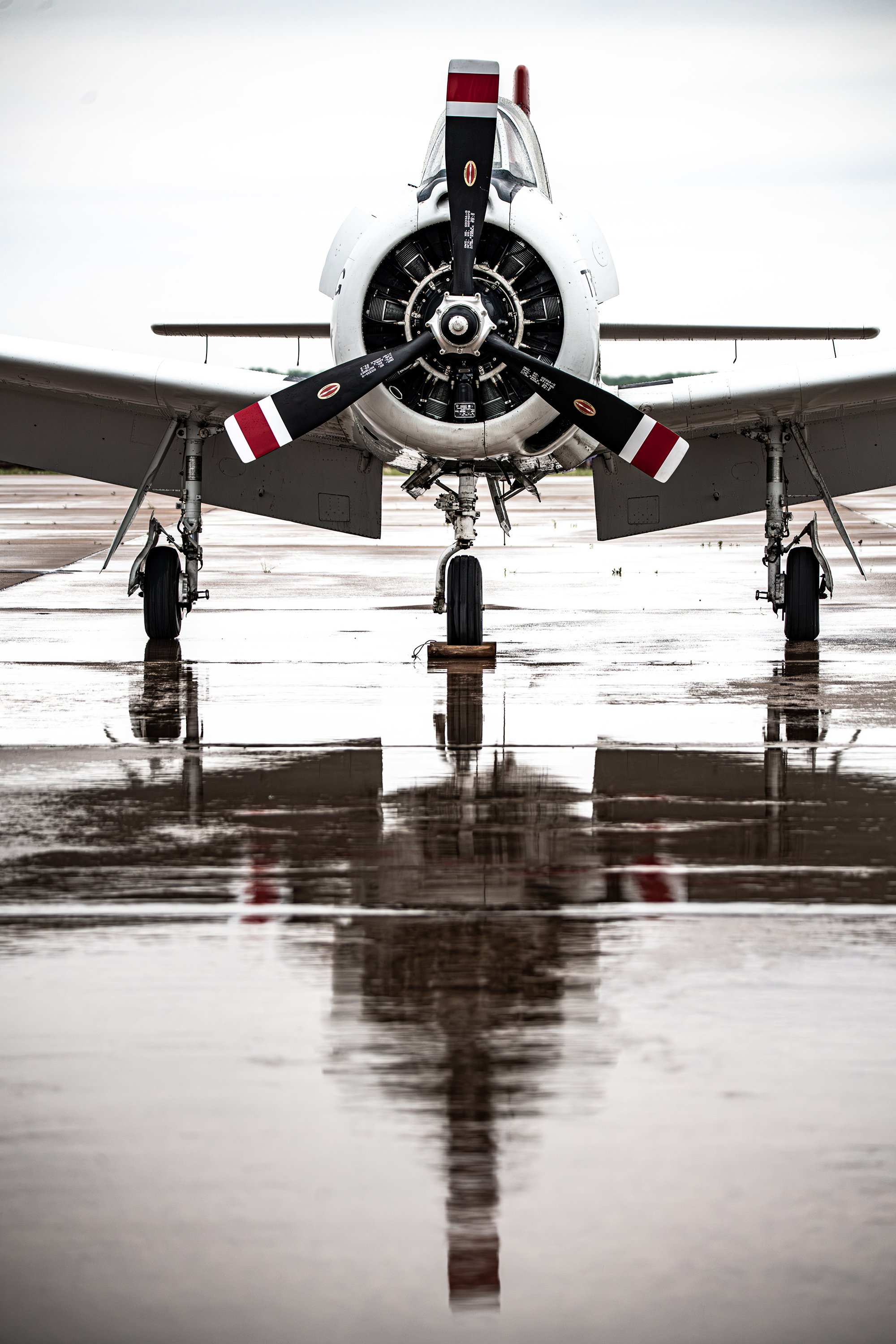 Front view of a vintage military airplane with a radial engine, propeller, and landing gear, reflected on a wet tarmac under a cloudy sky.