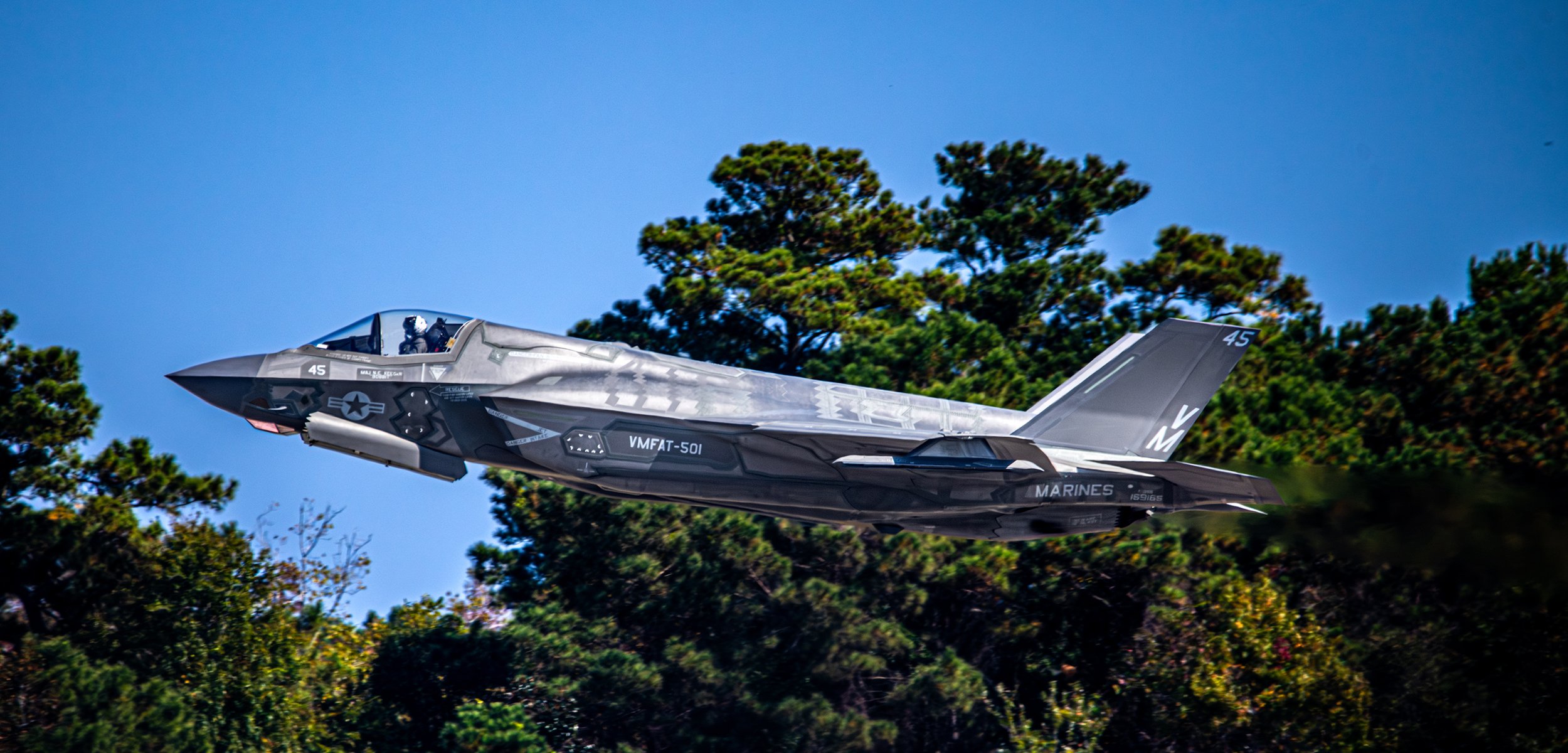 A military fighter jet flying low over trees against a blue sky.