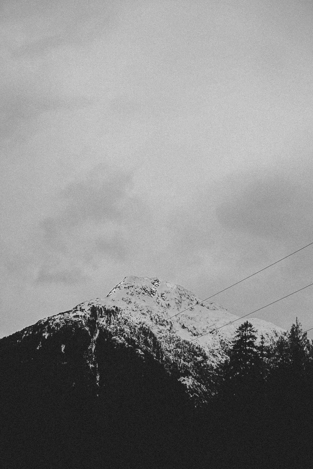_DSC4029.JPG