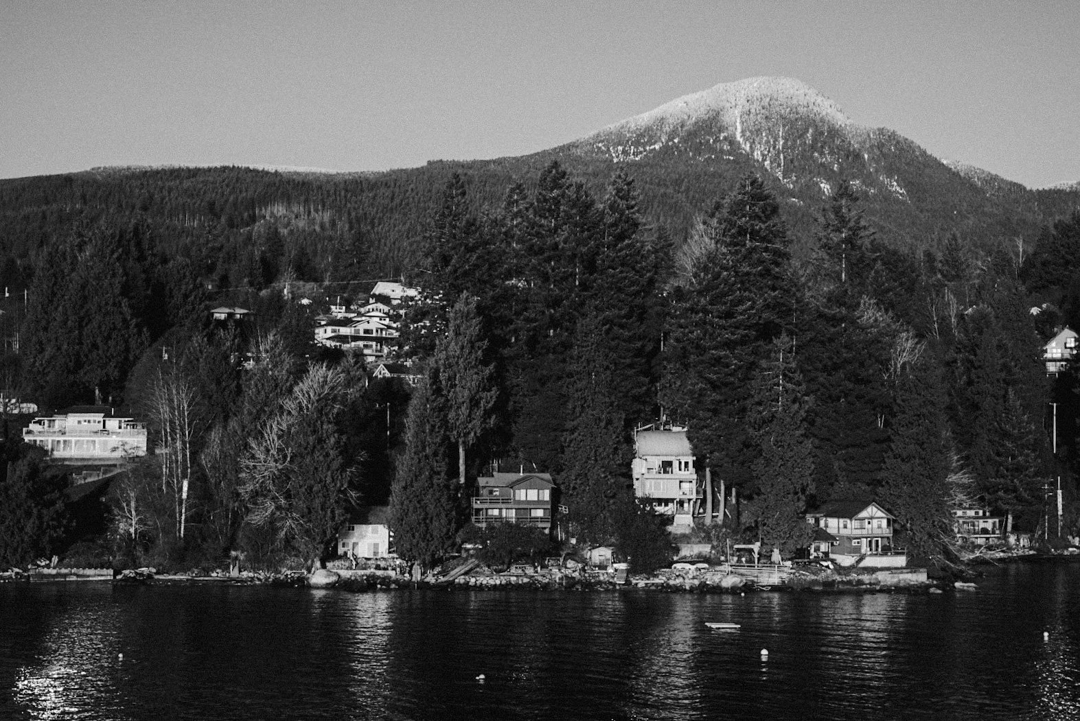 _DSC2397.JPG