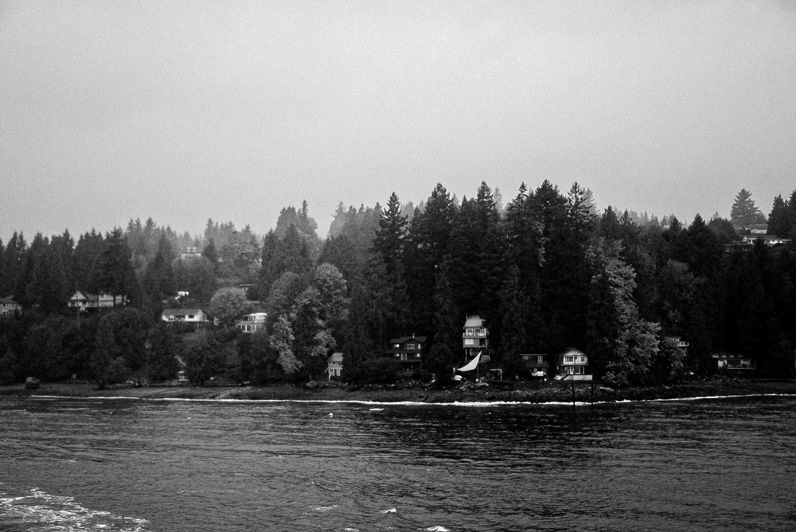 _DSC0125.JPG