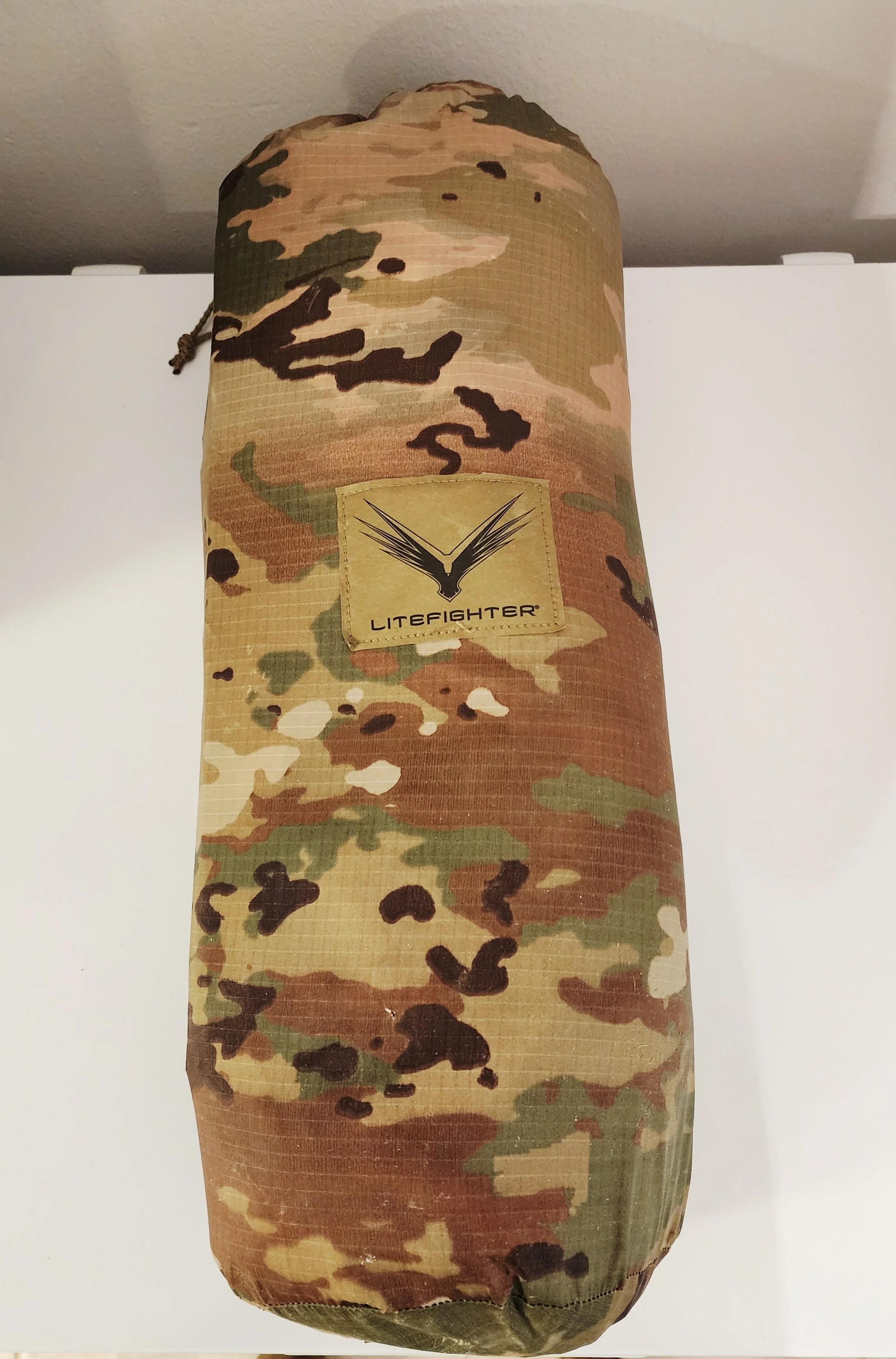 light fighter pic 5.jpg