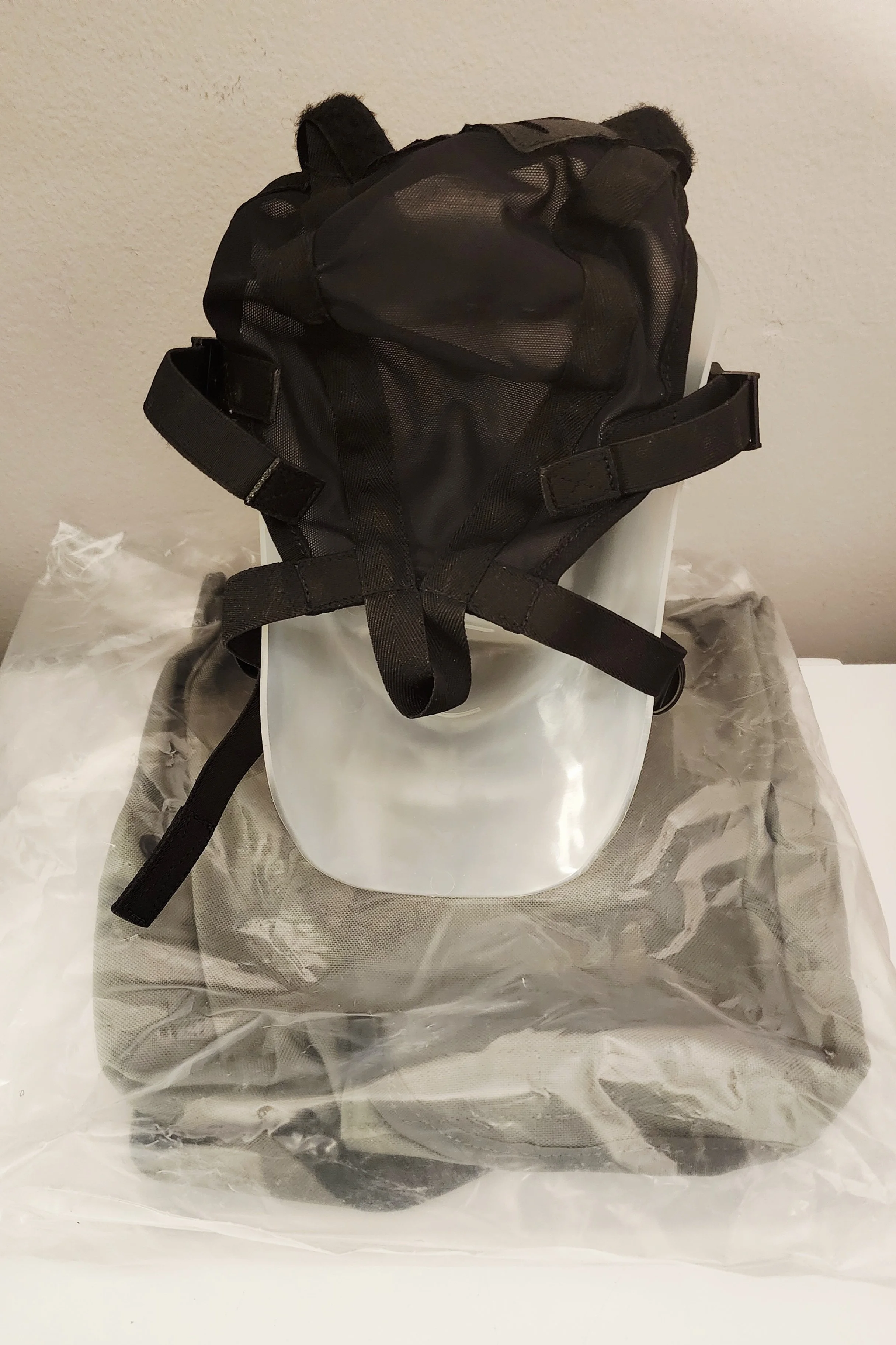 M50 gas mask 009 pic 2.jpg