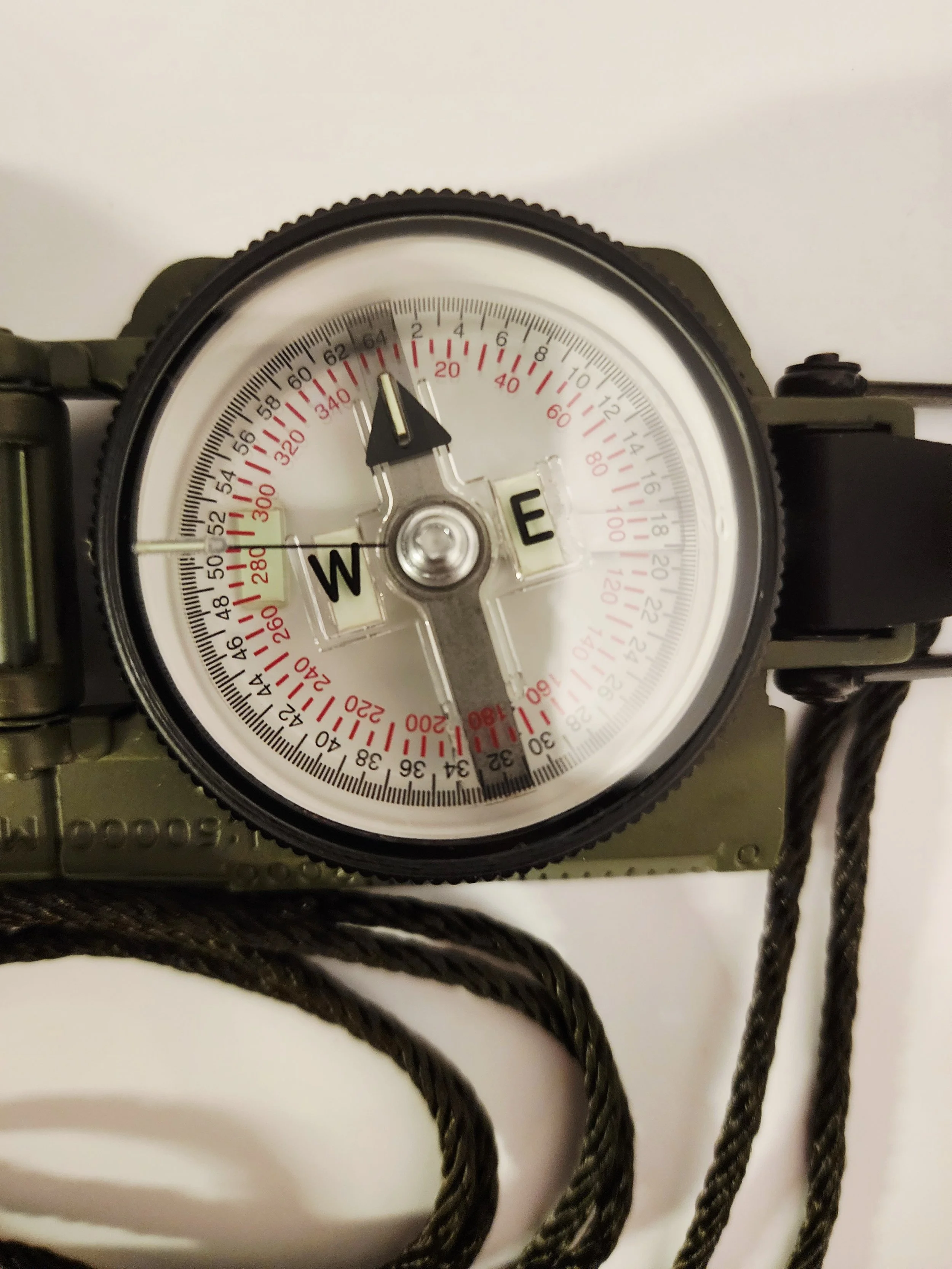 compass 002 pic 2.jpg