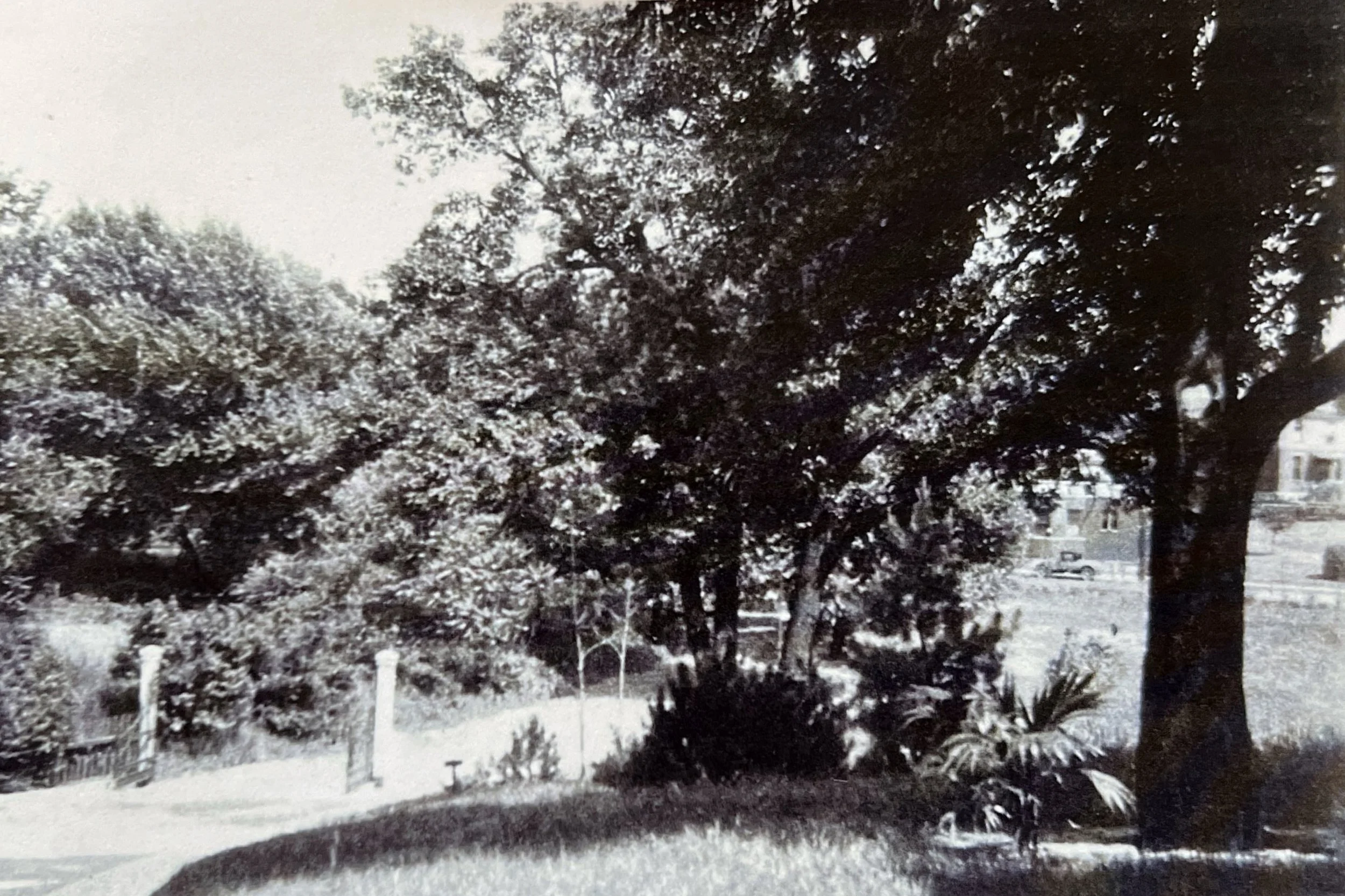 Sooty Acres, viewed from June Street and Reading Road, circa 1926
