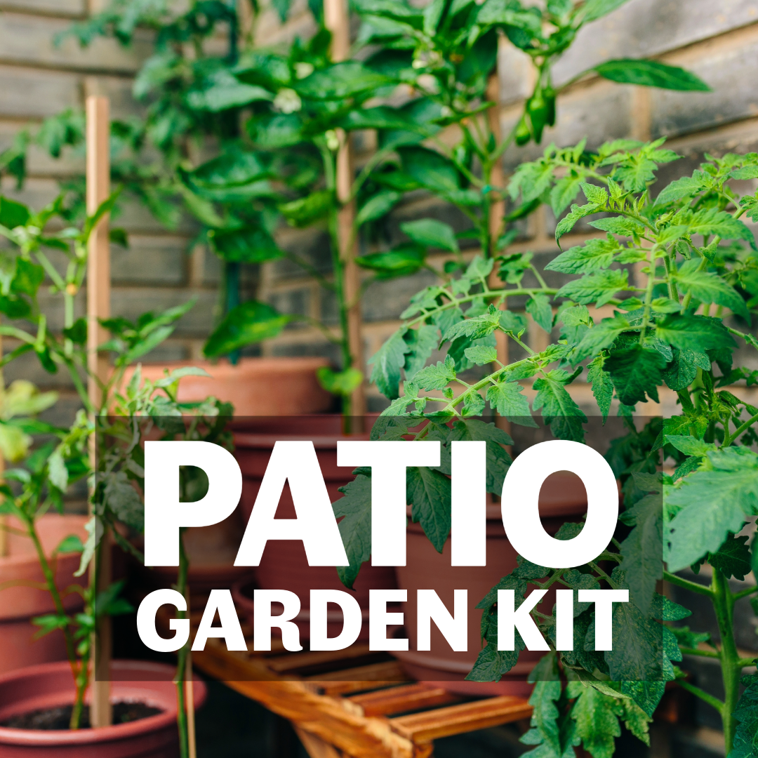 Site_ Patio Garden Kit.png