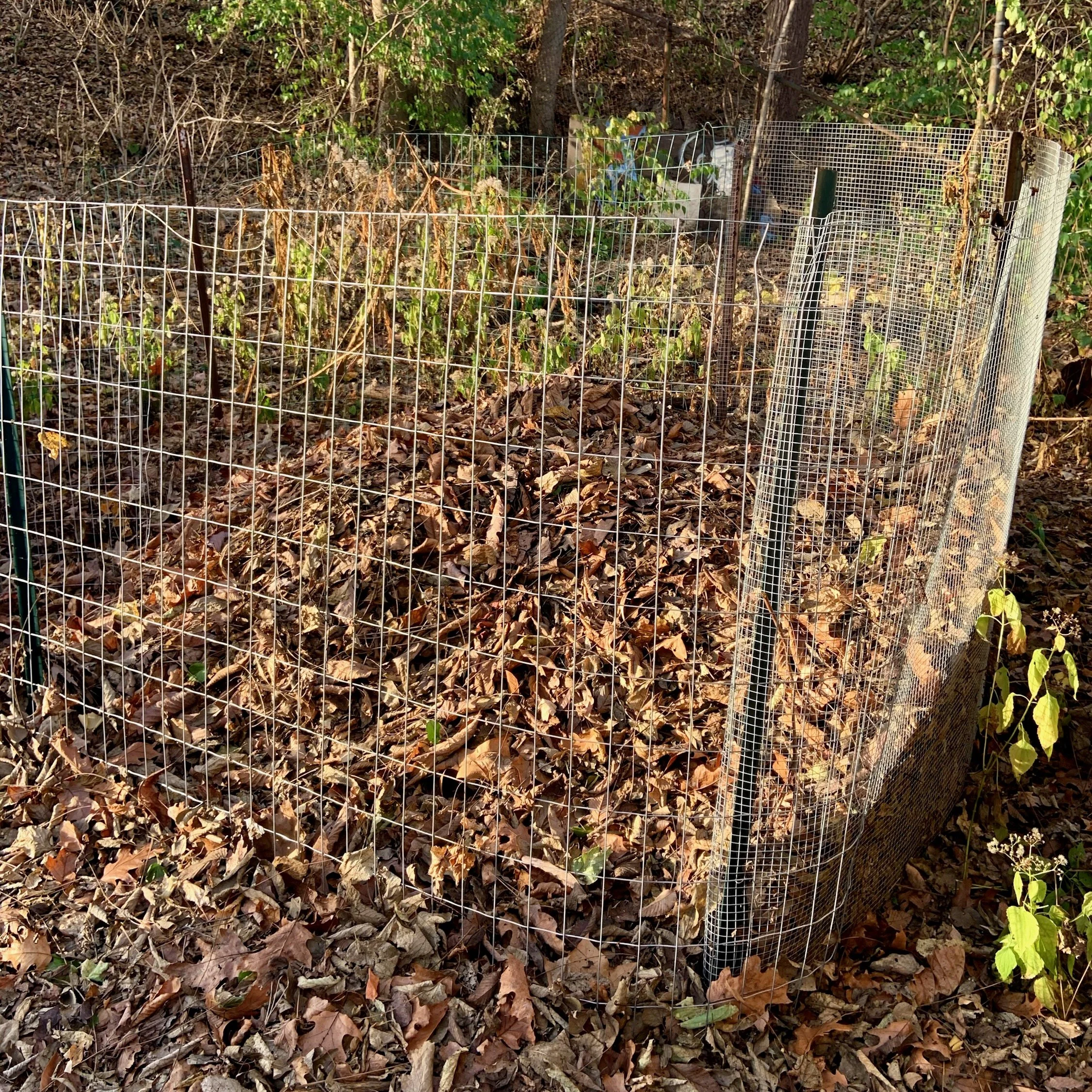 How to Turn Your Fallen Leaves into Compost