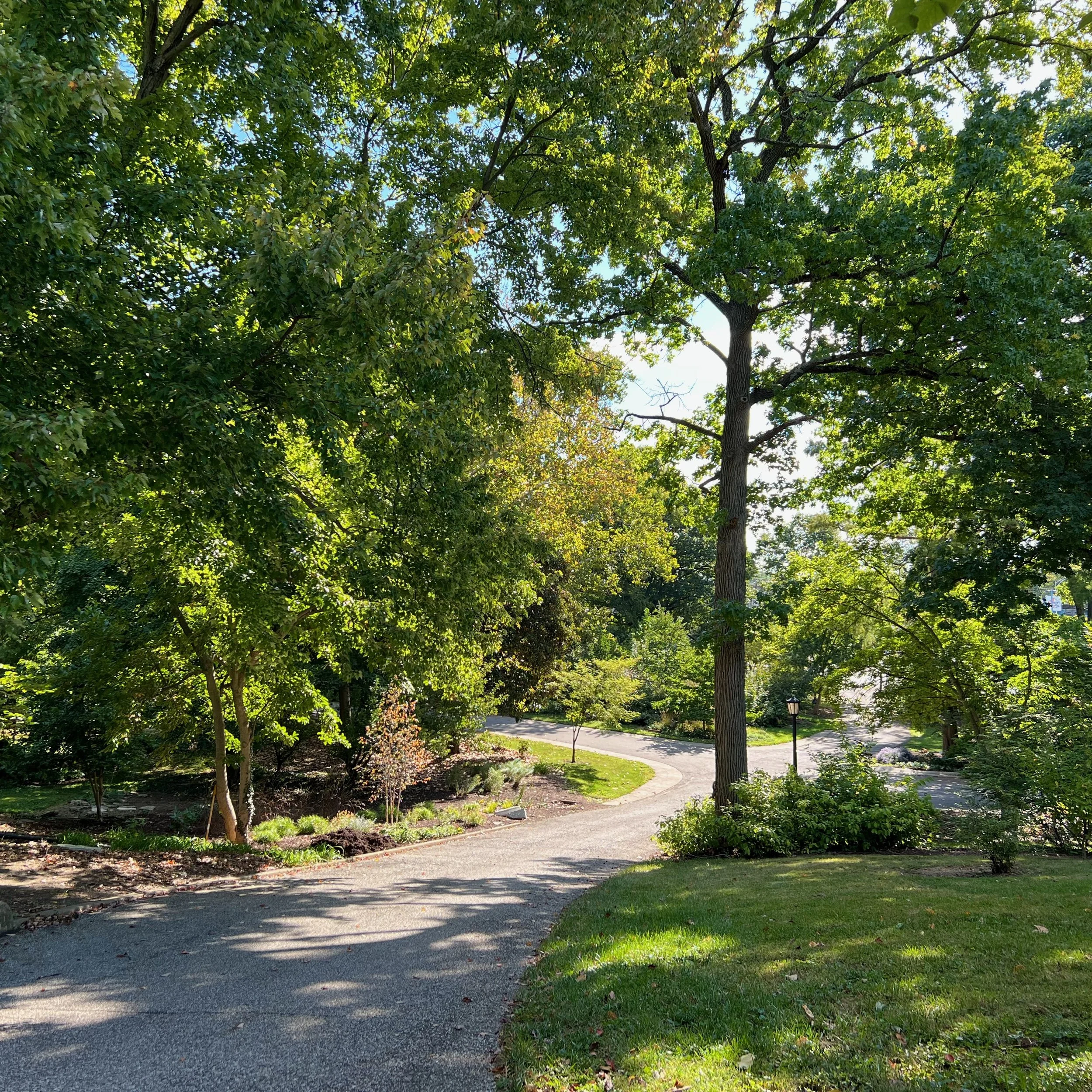 How the CGC Became My Second Home