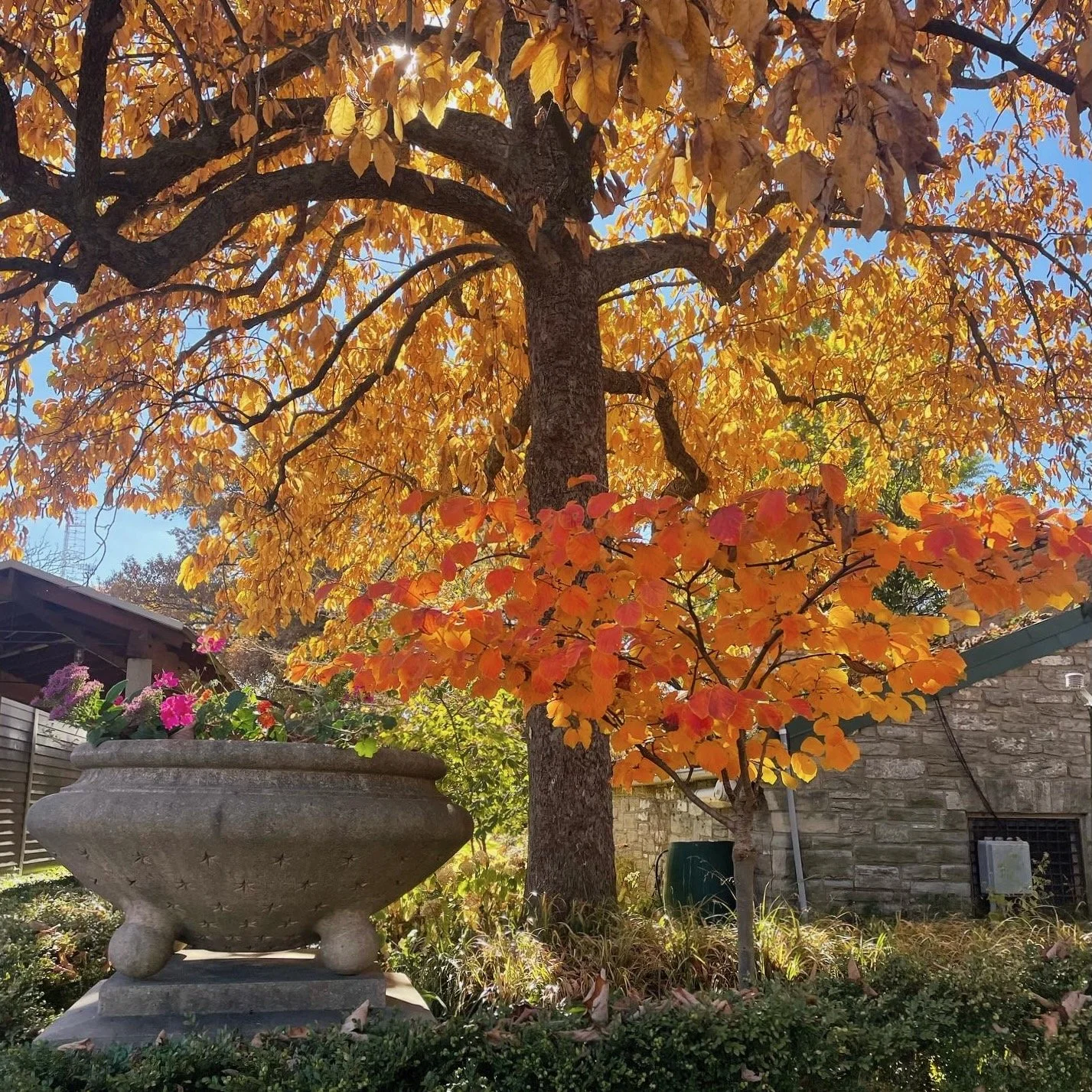 CGC Updates: Fall 2022