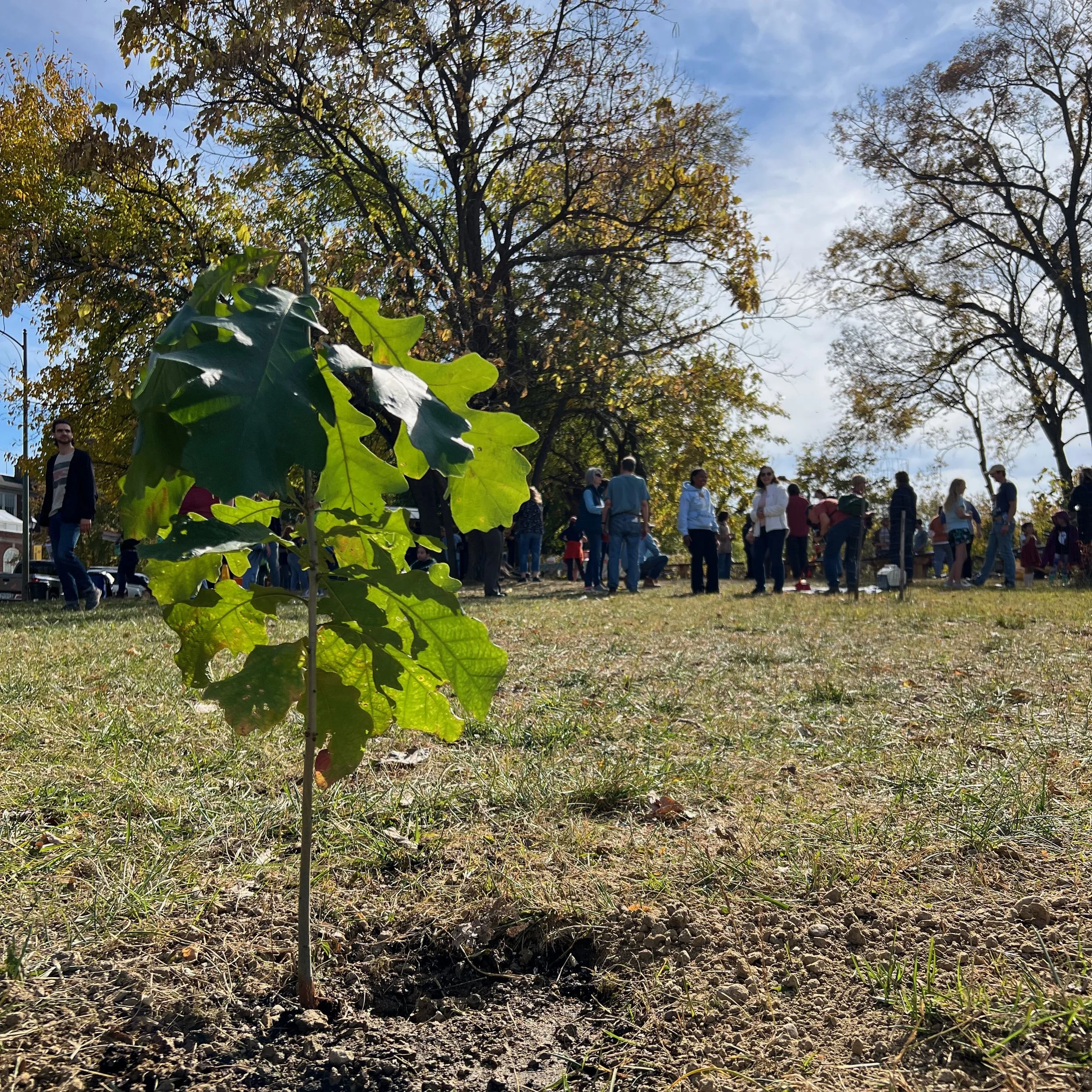 Nature Holds the Key to Meeting Climate Goals