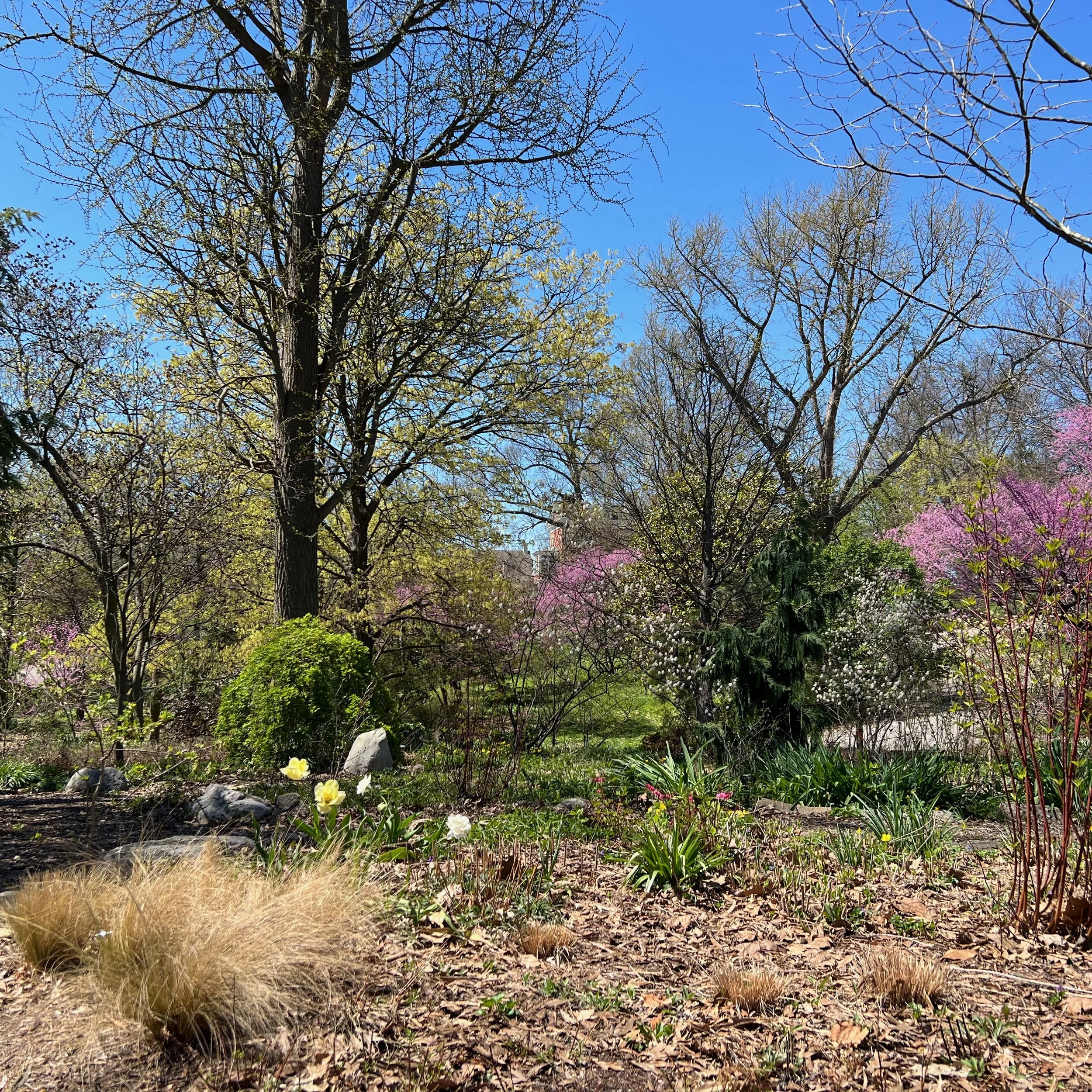 CGC Updates: Spring 2023