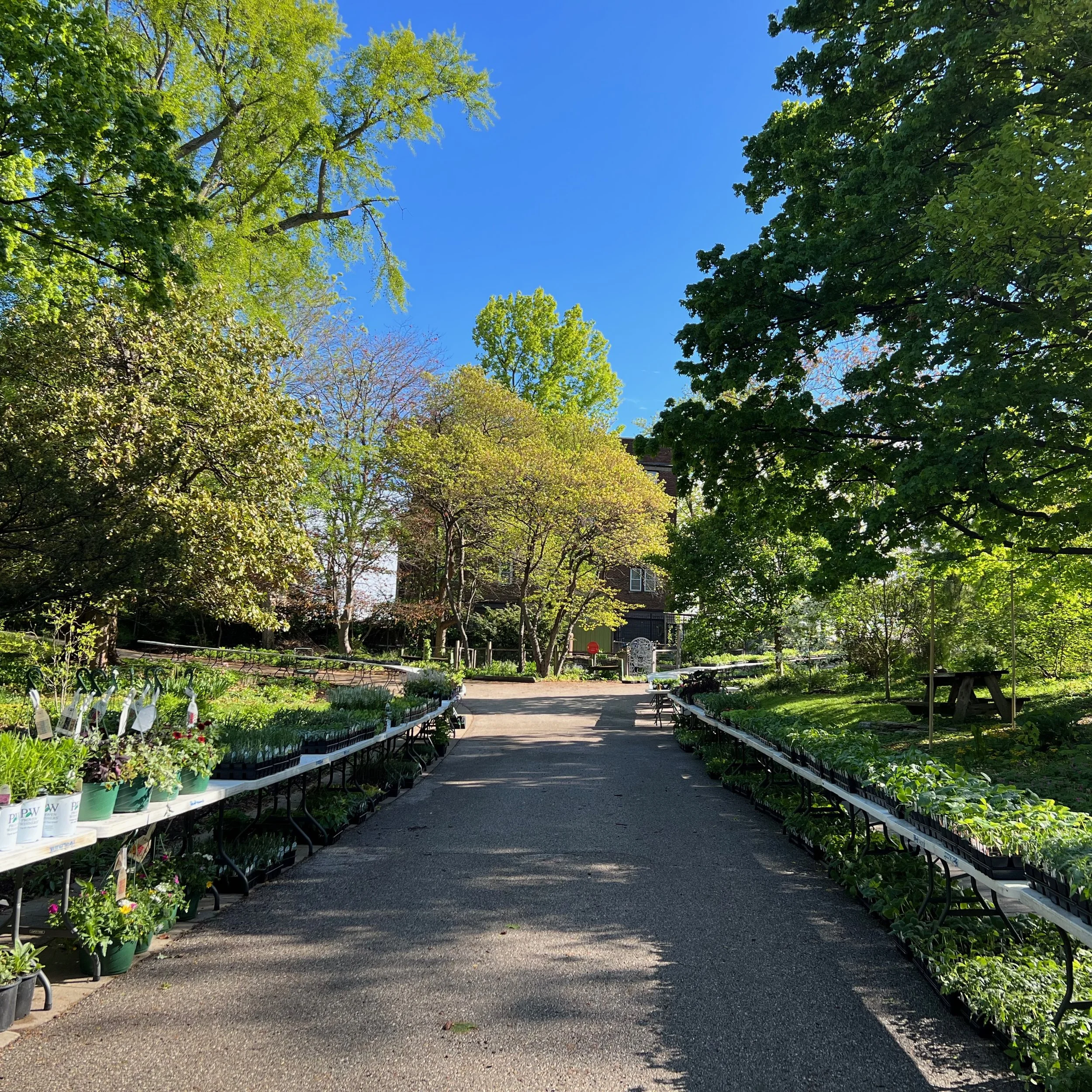 The View from the Other Side