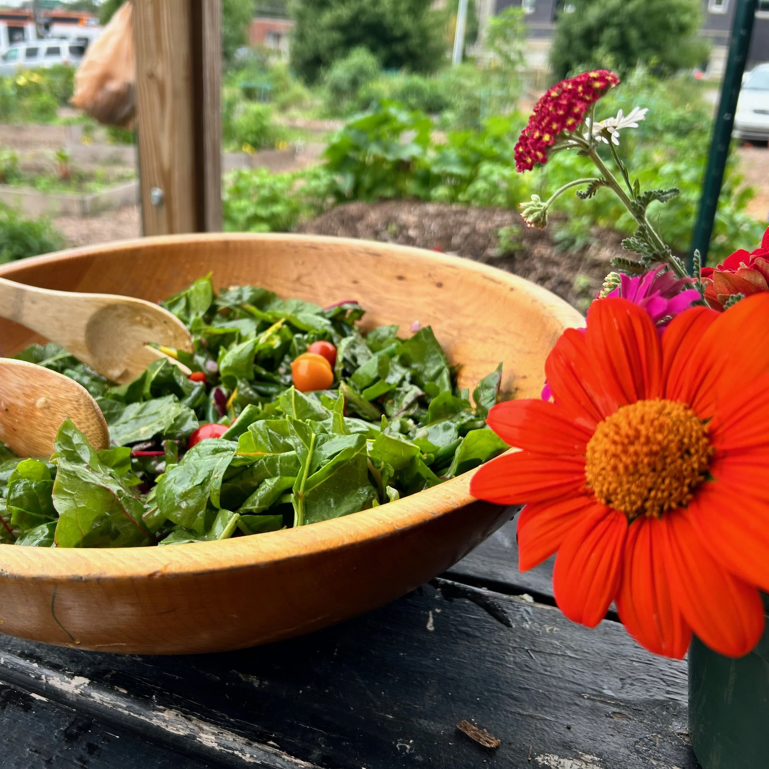 CGC Updates: Summer 2023