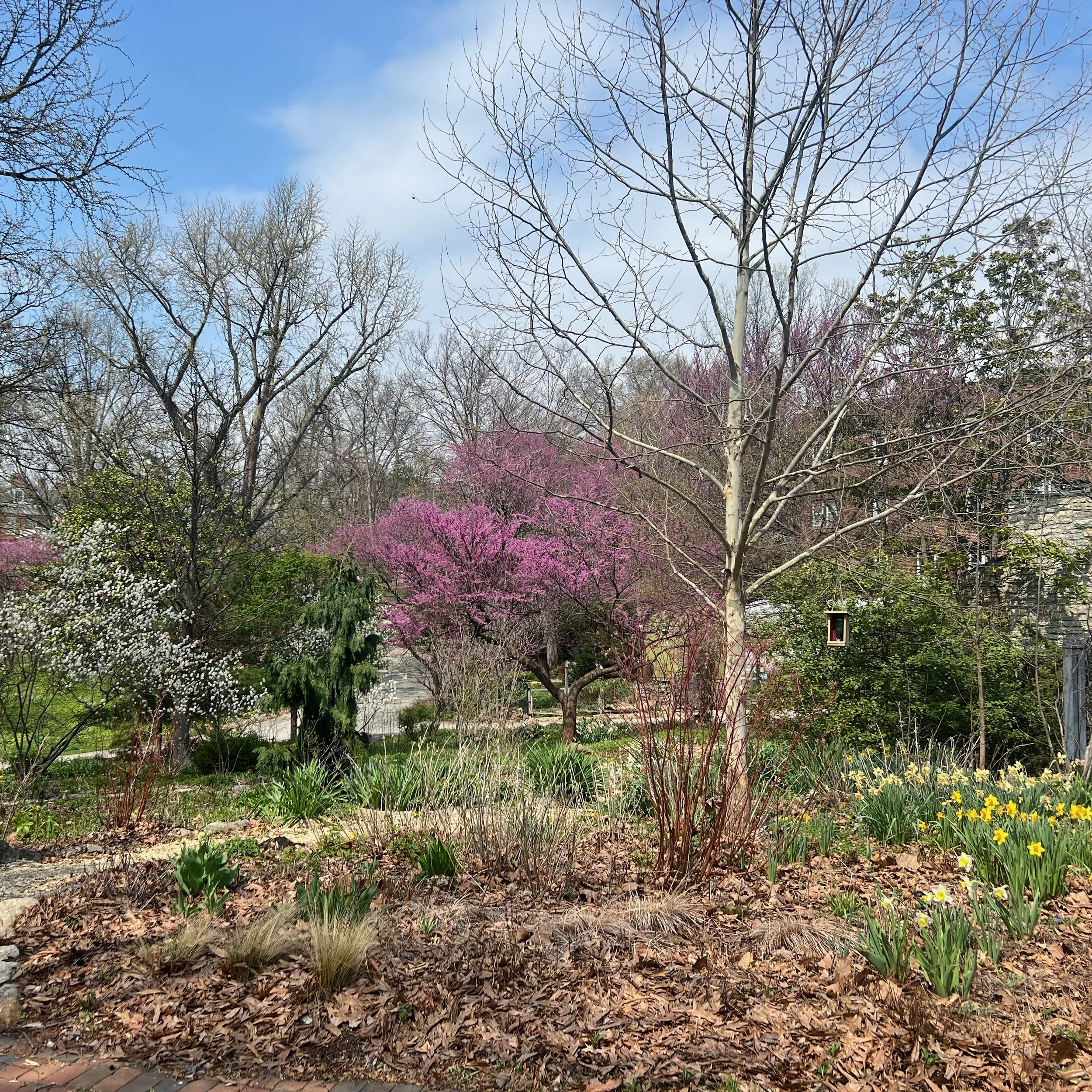 CGC Updates: Spring 2024