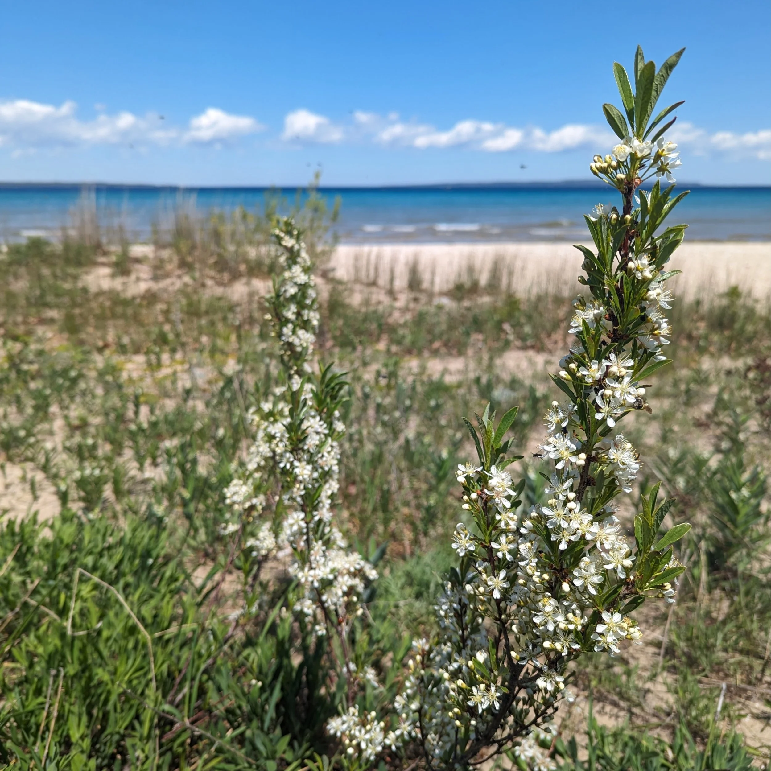 Vacationing with a Plant Nerd
