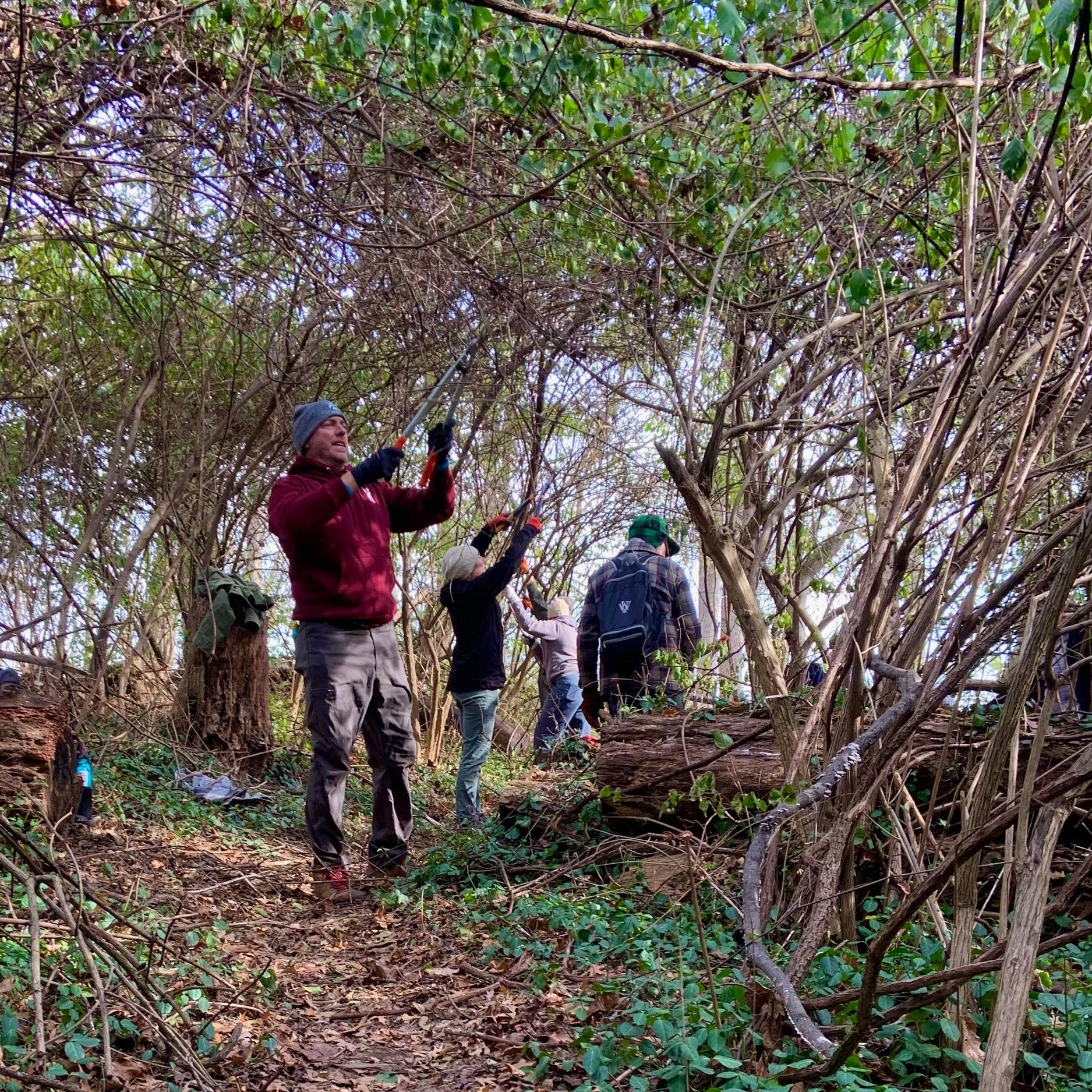 Conservation: 2024 In Review