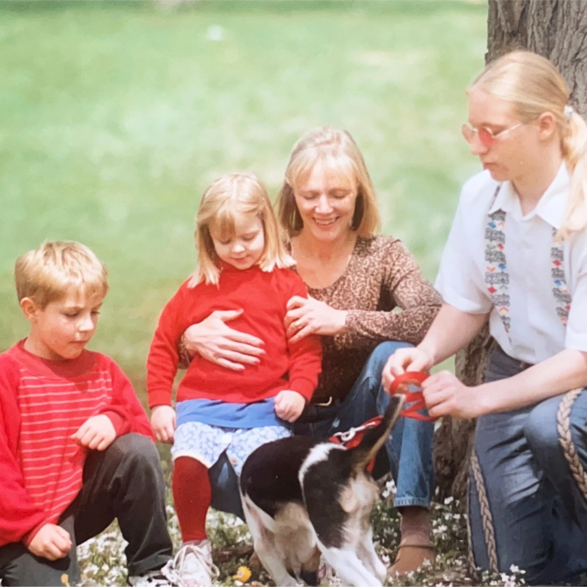 Why Is This My Special Garden?