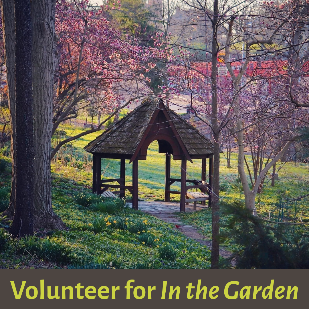 Volunteer for In the Garden: Native Sounds & Landscapes