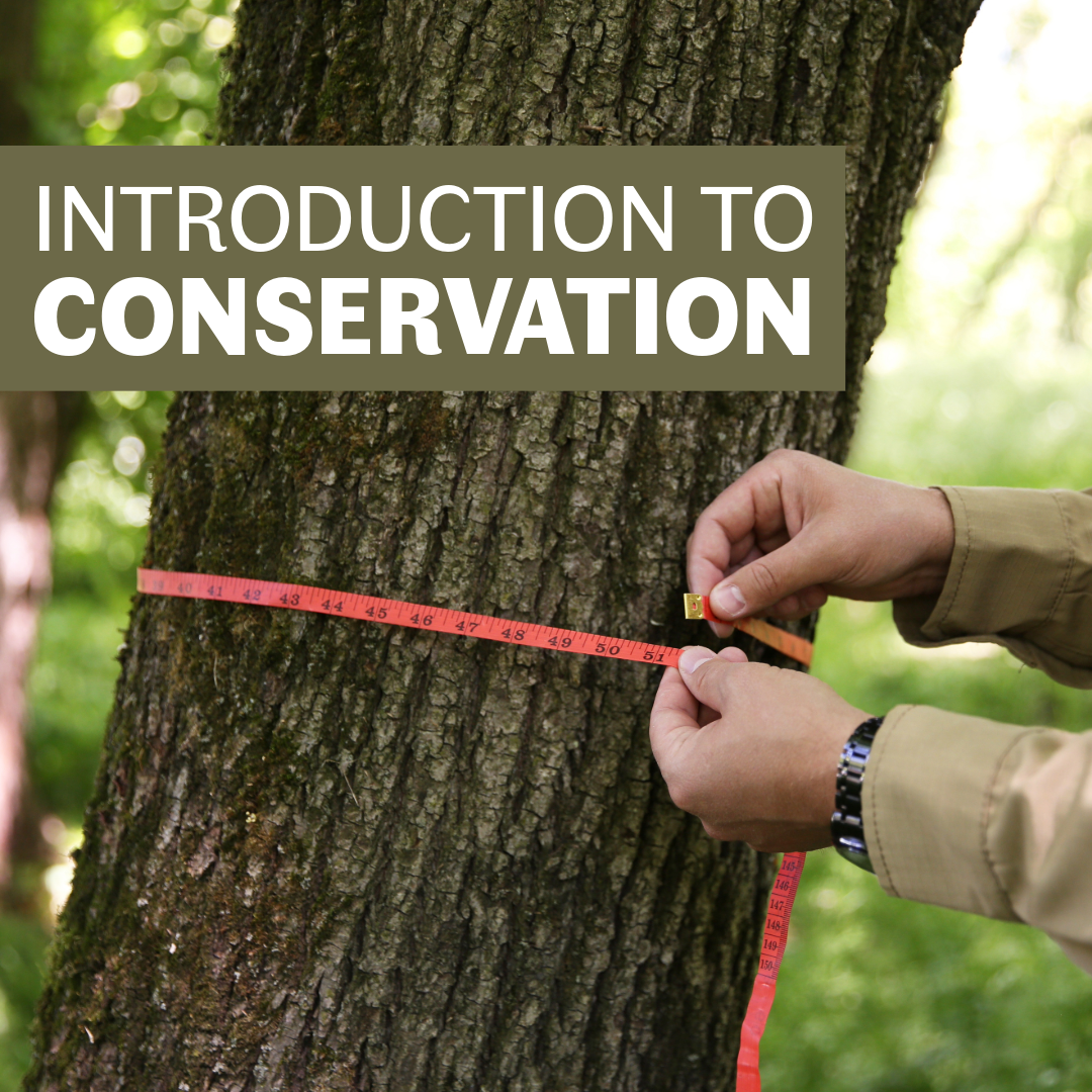 Introduction to Conservation