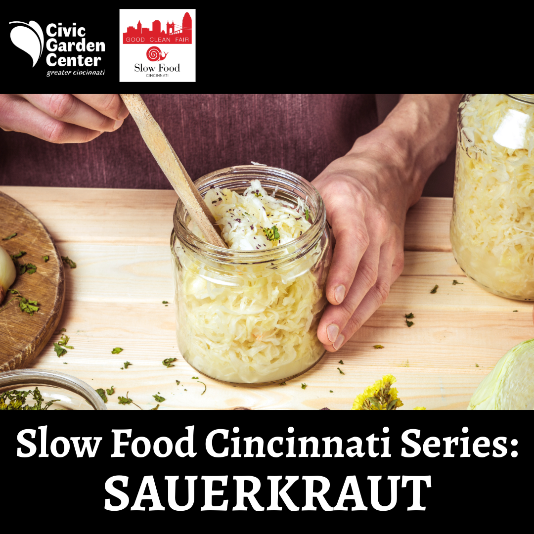 Slow Food Cincinnati Series: Sauerkraut Making