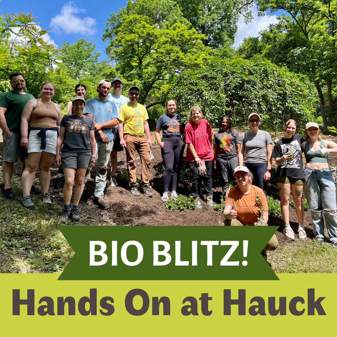 Hands On at Hauck