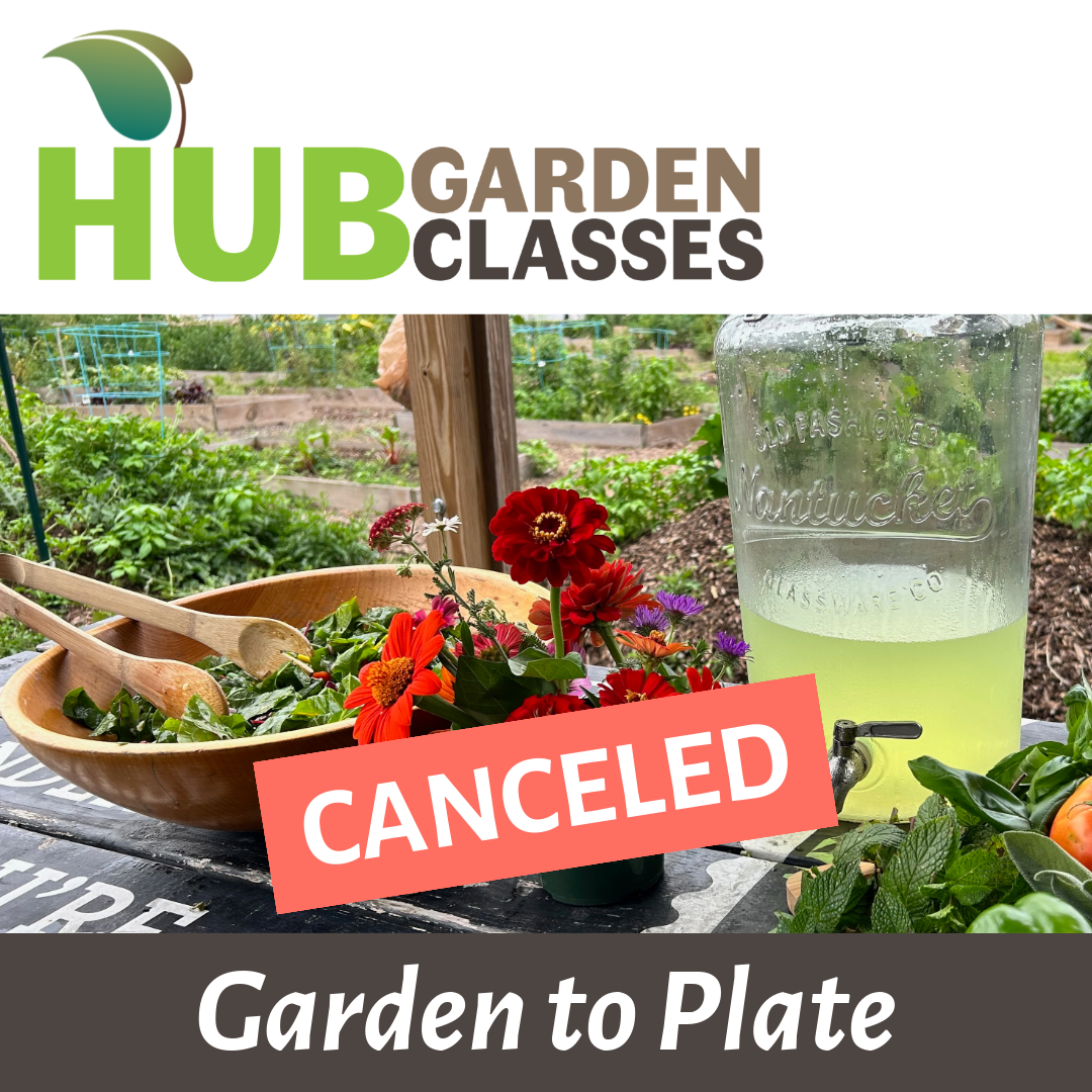 CANCELED: HUB Garden Class: Garden to Plate (Mt. Airy)