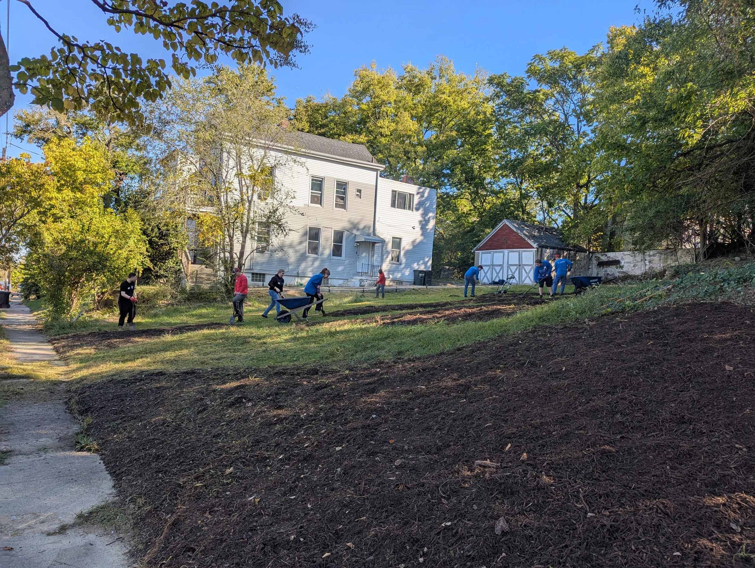 dewey mulching 3.jpeg