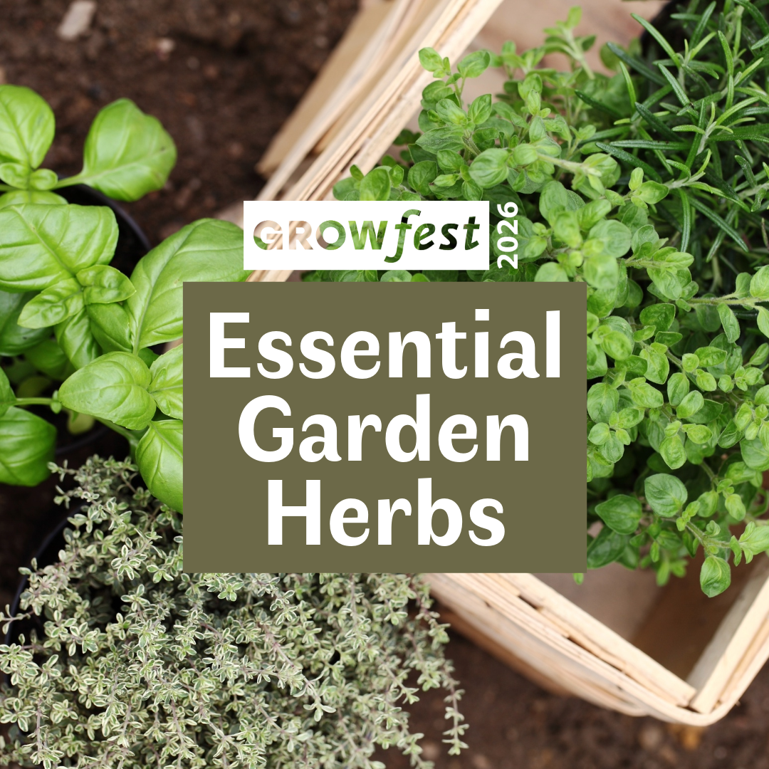 GrowFest 2026: Essential Garden Herbs