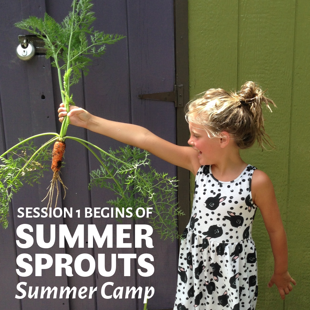 Summer Sprouts Camp: Session 1 Begins