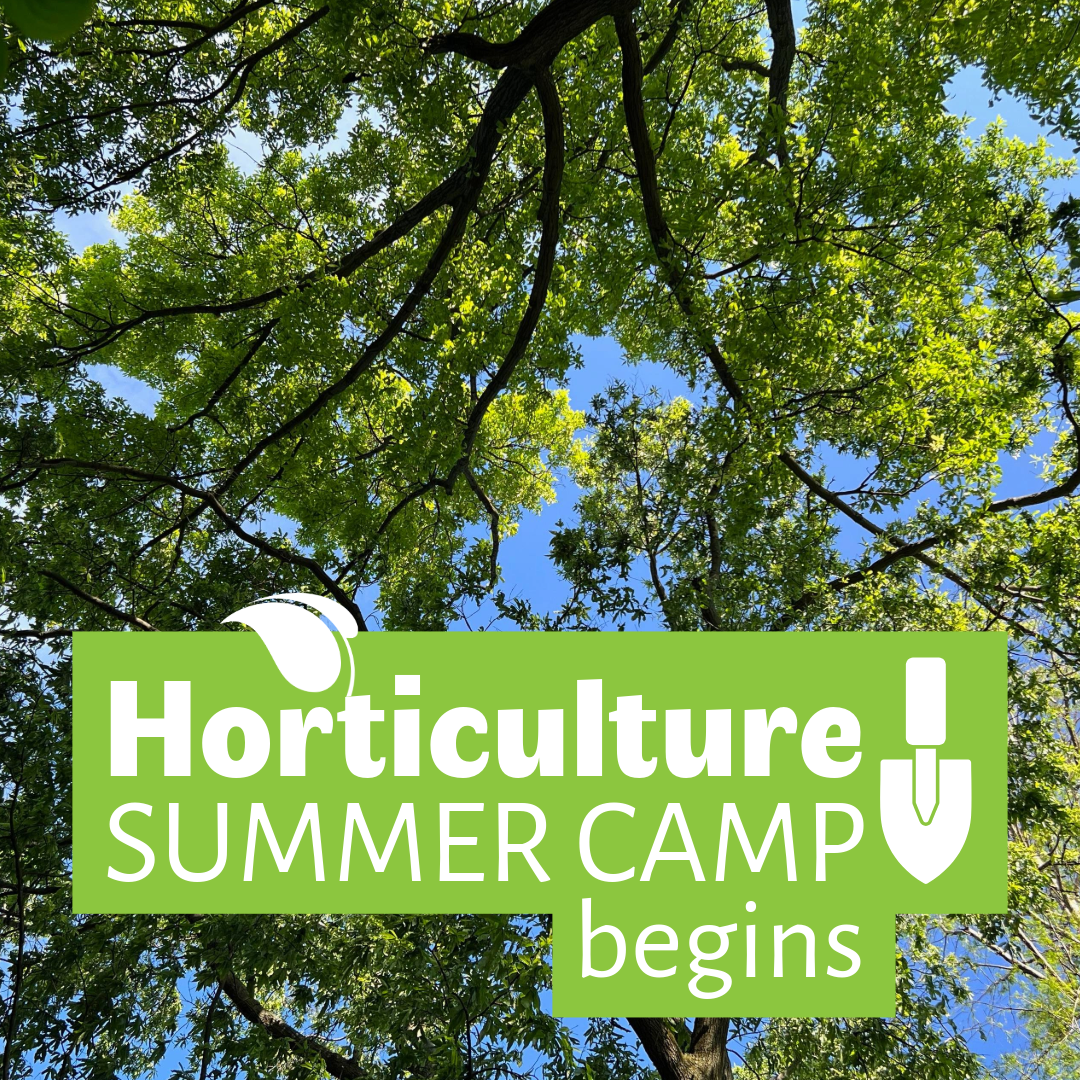 Horticulture Summer Camp Begins