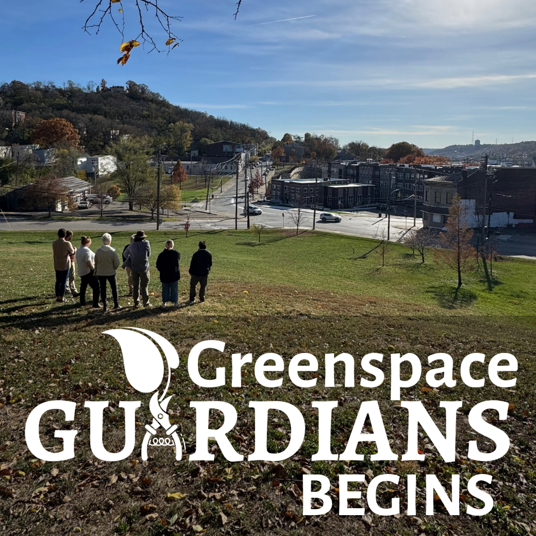 Greenspace Guardians Begins