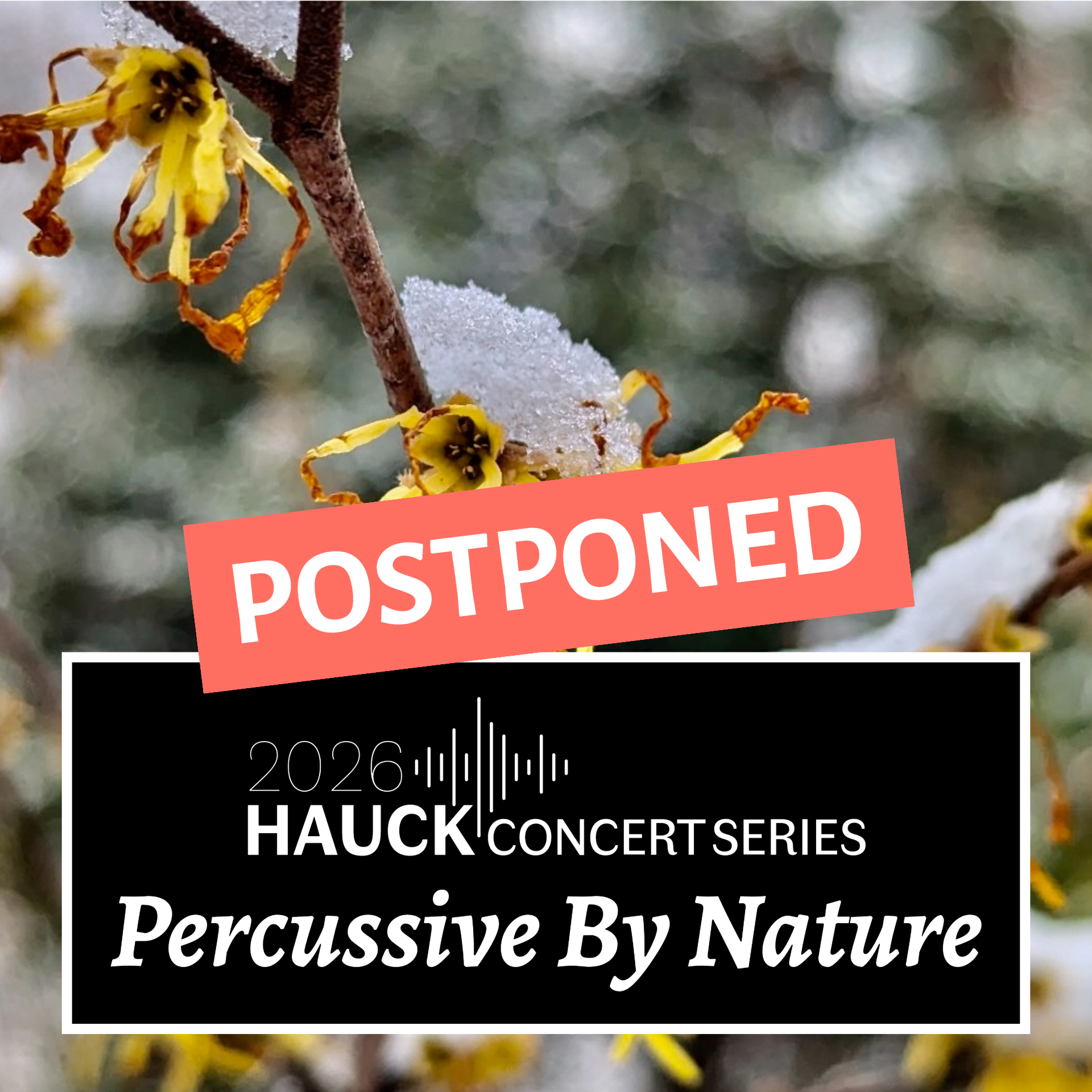 POSTPONED - Hauck Concert Series: Percussive By Nature