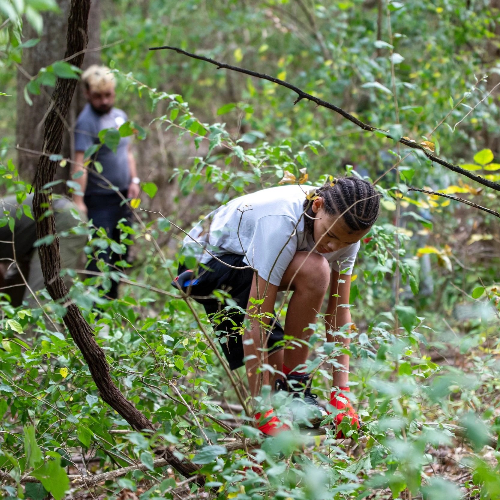 Conservation: 2025 In Review