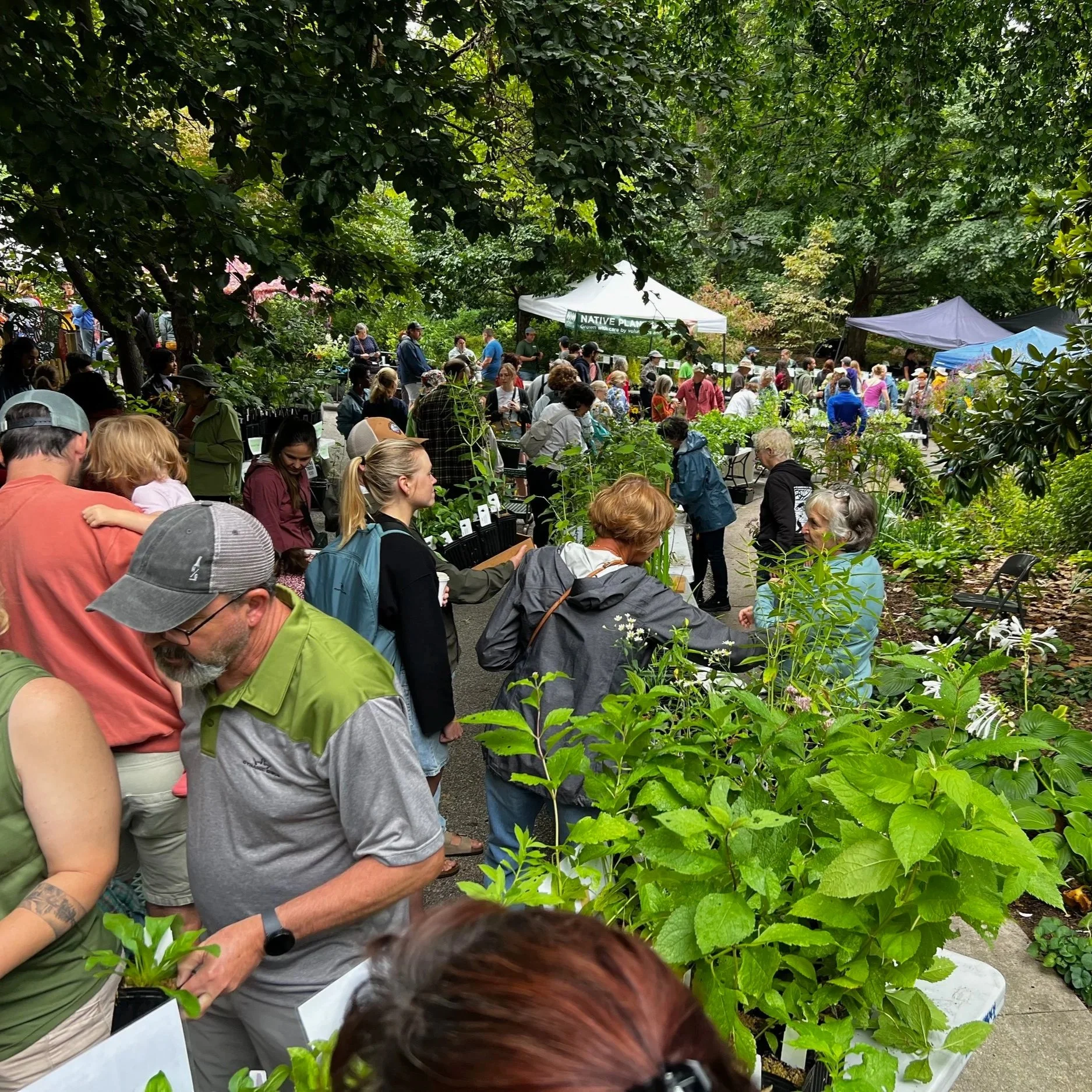 Classes &amp; Events: 2025 In Review