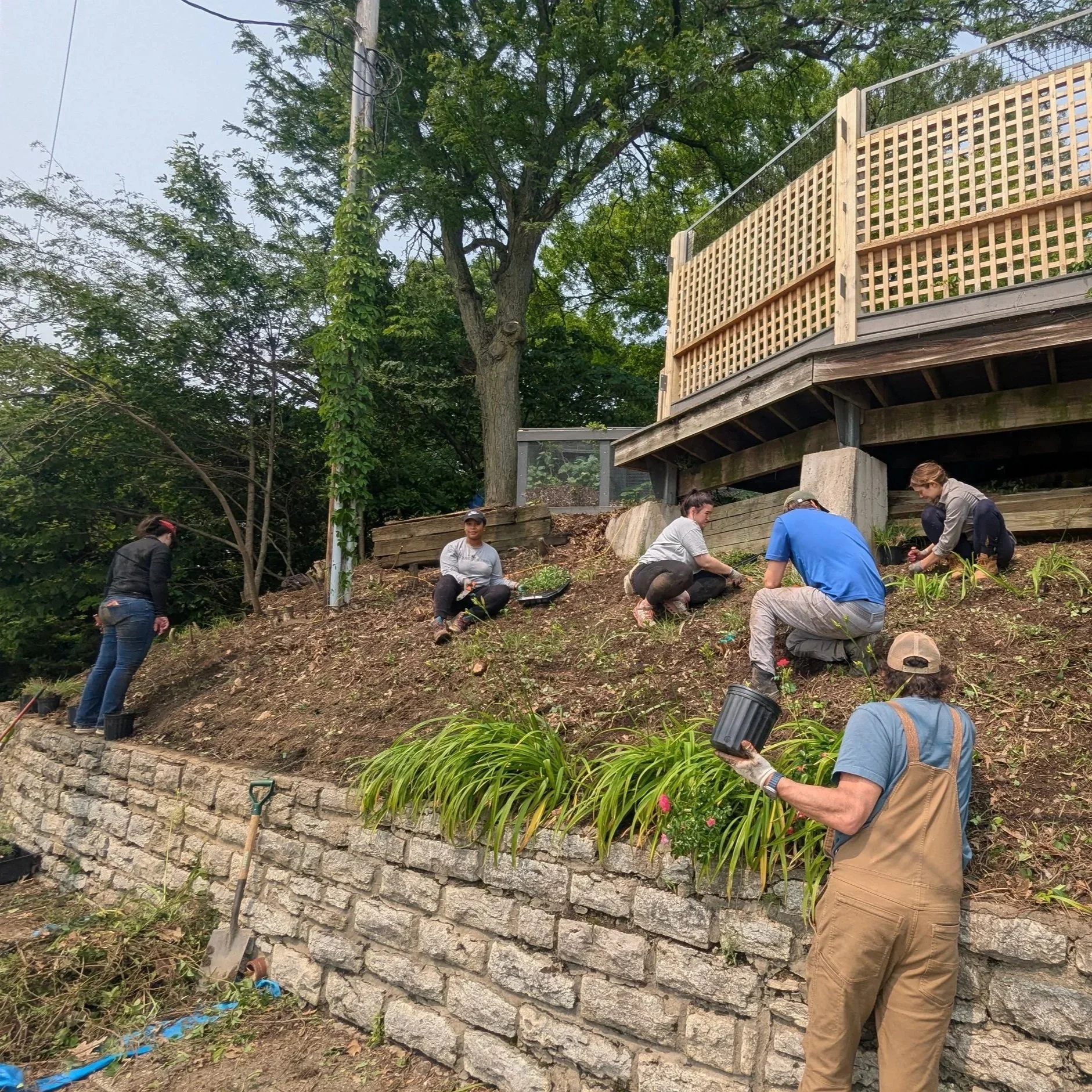 Horticulture &amp; Hauck: 2025 In Review