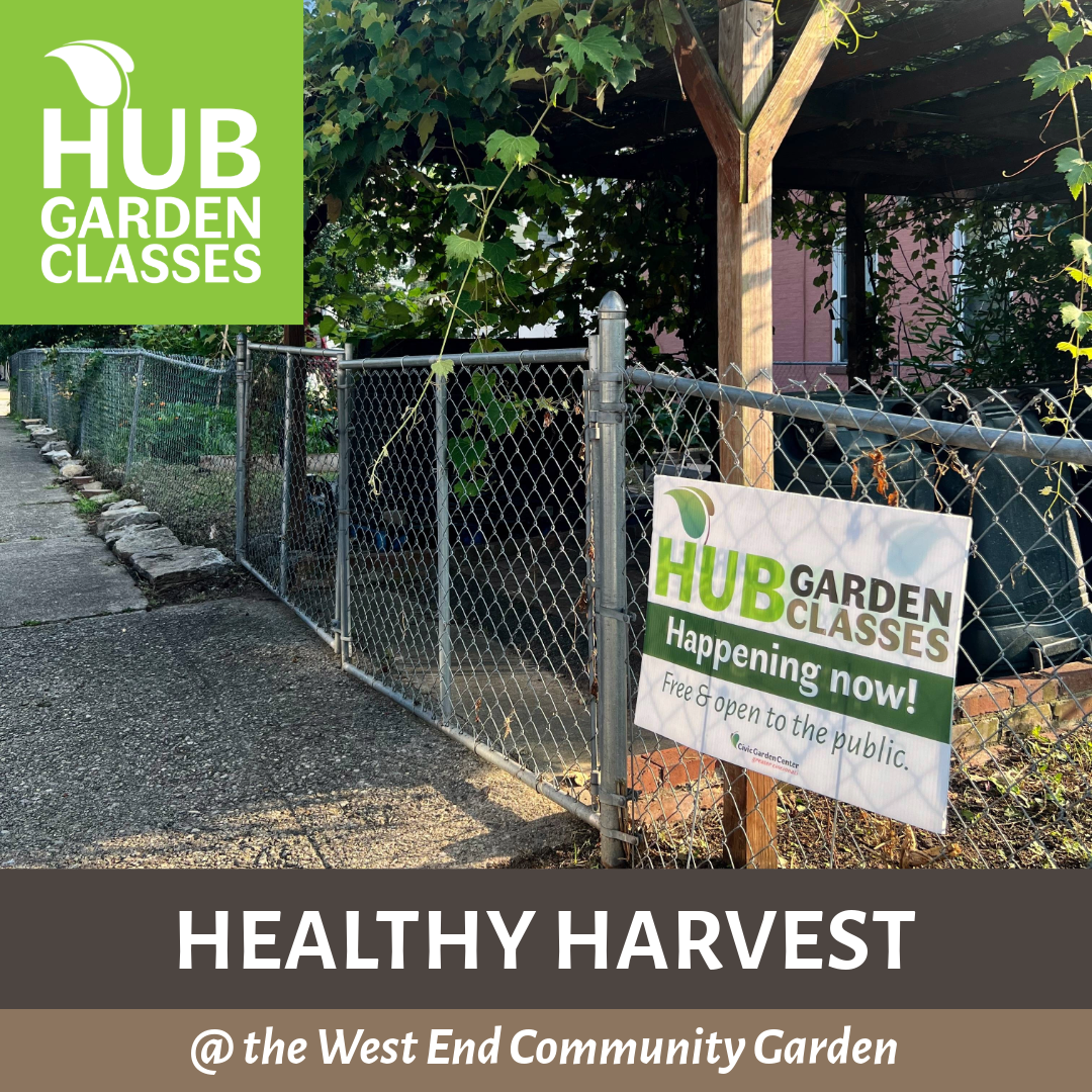 HUB Garden Class: Healthy Harvest (West End)