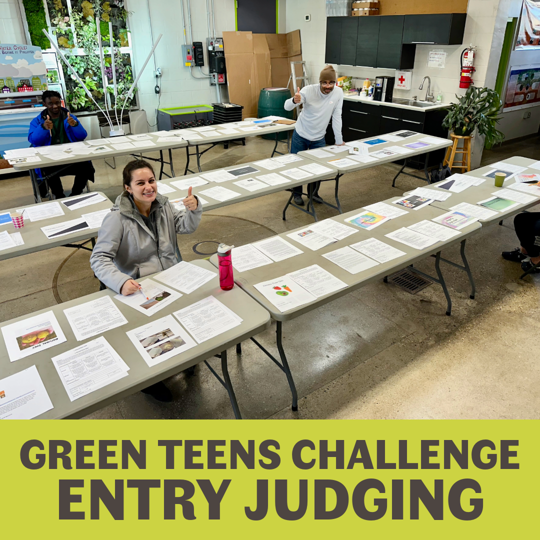 Green Teens Challenge Entry Judging