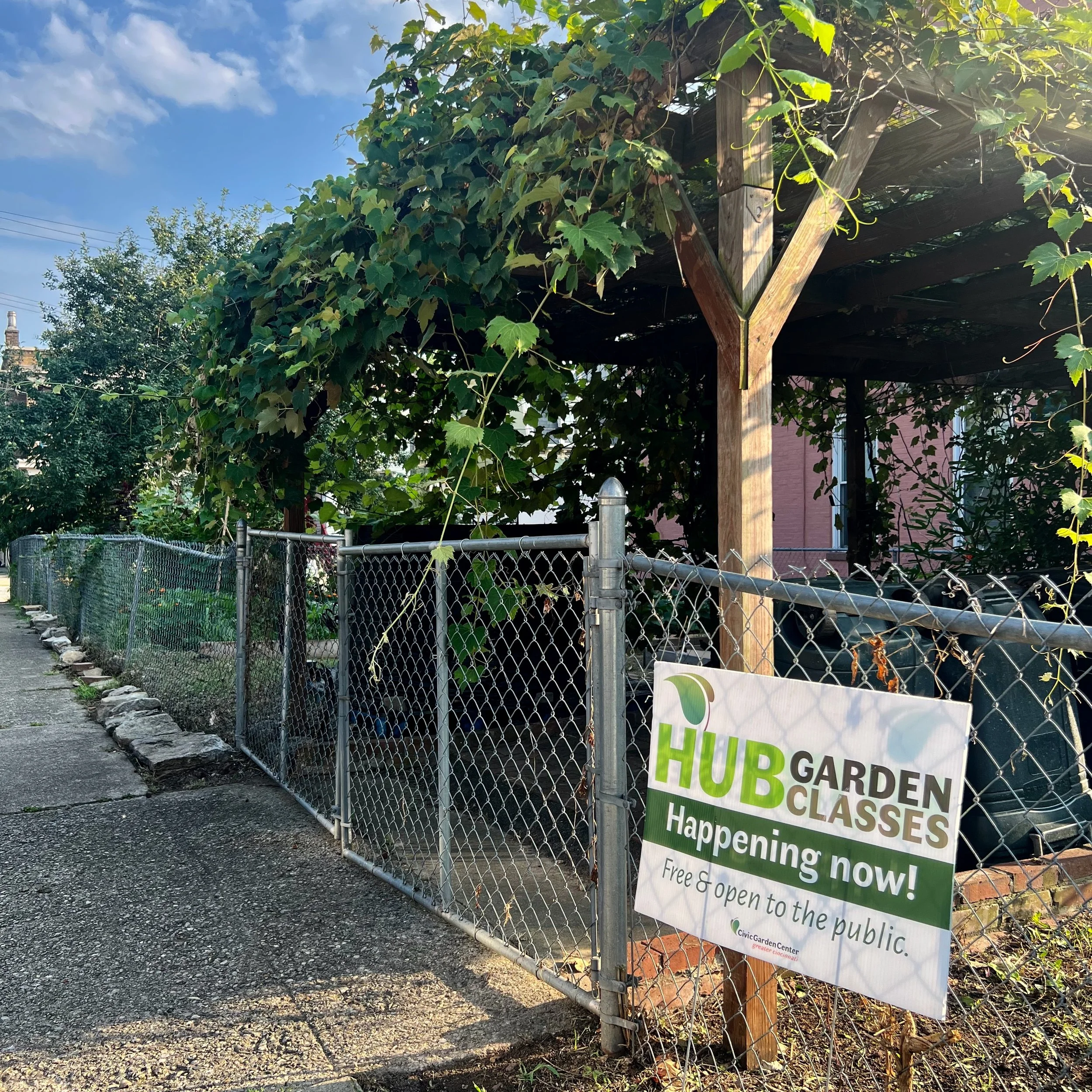 From Vacant Lot to Community Haven: The Camp Garden Story