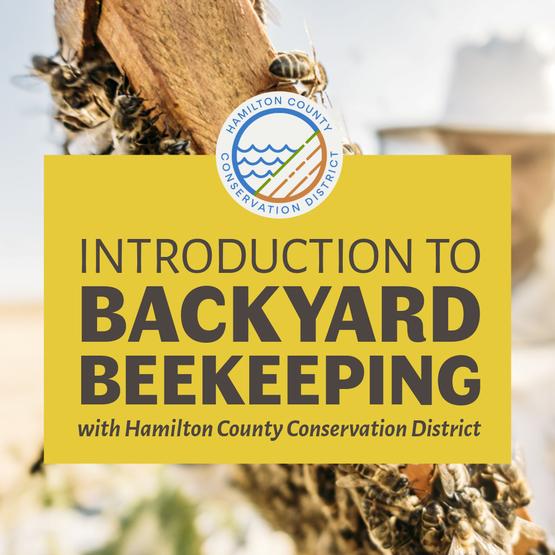 Introduction to Backyard Beekeeping